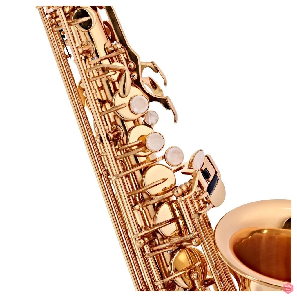 Kèn Saxophone Alto Conn-Selmer Conn AS651 - Việt Music