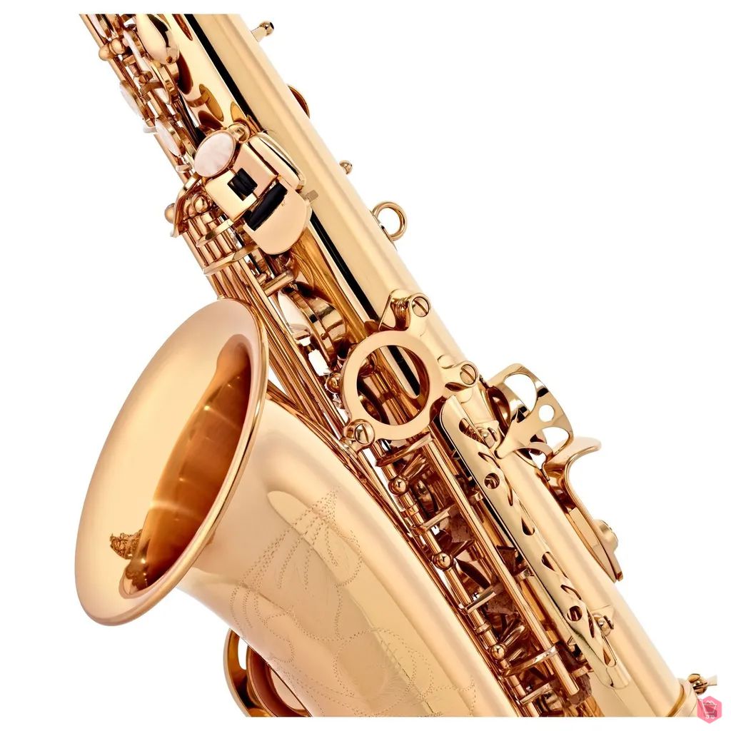 Kèn Saxophone Alto Conn-Selmer Conn AS651 - Việt Music