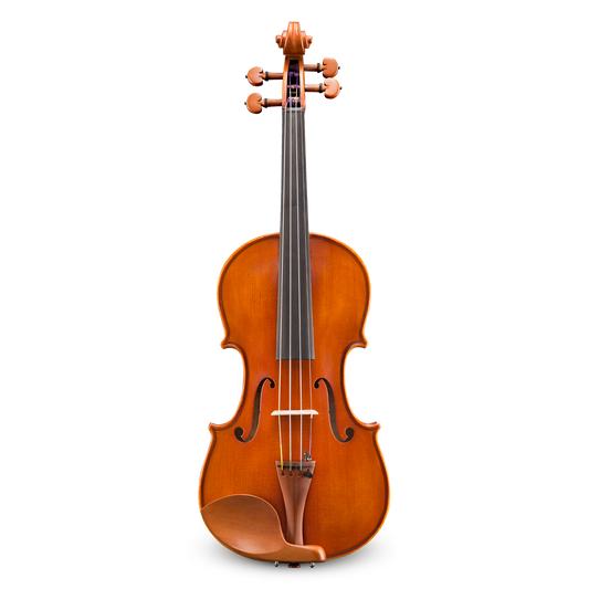Đàn Violin Andreas Eastman VL200 4/4 - Việt Music