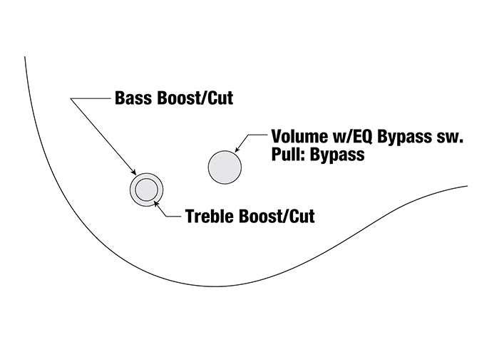 Đàn Guitar Bass Ibanez GWB25TH Gary Willis Signature S, Ebony Fingerboard Silver Wave Burst Flat  - 5 Strings