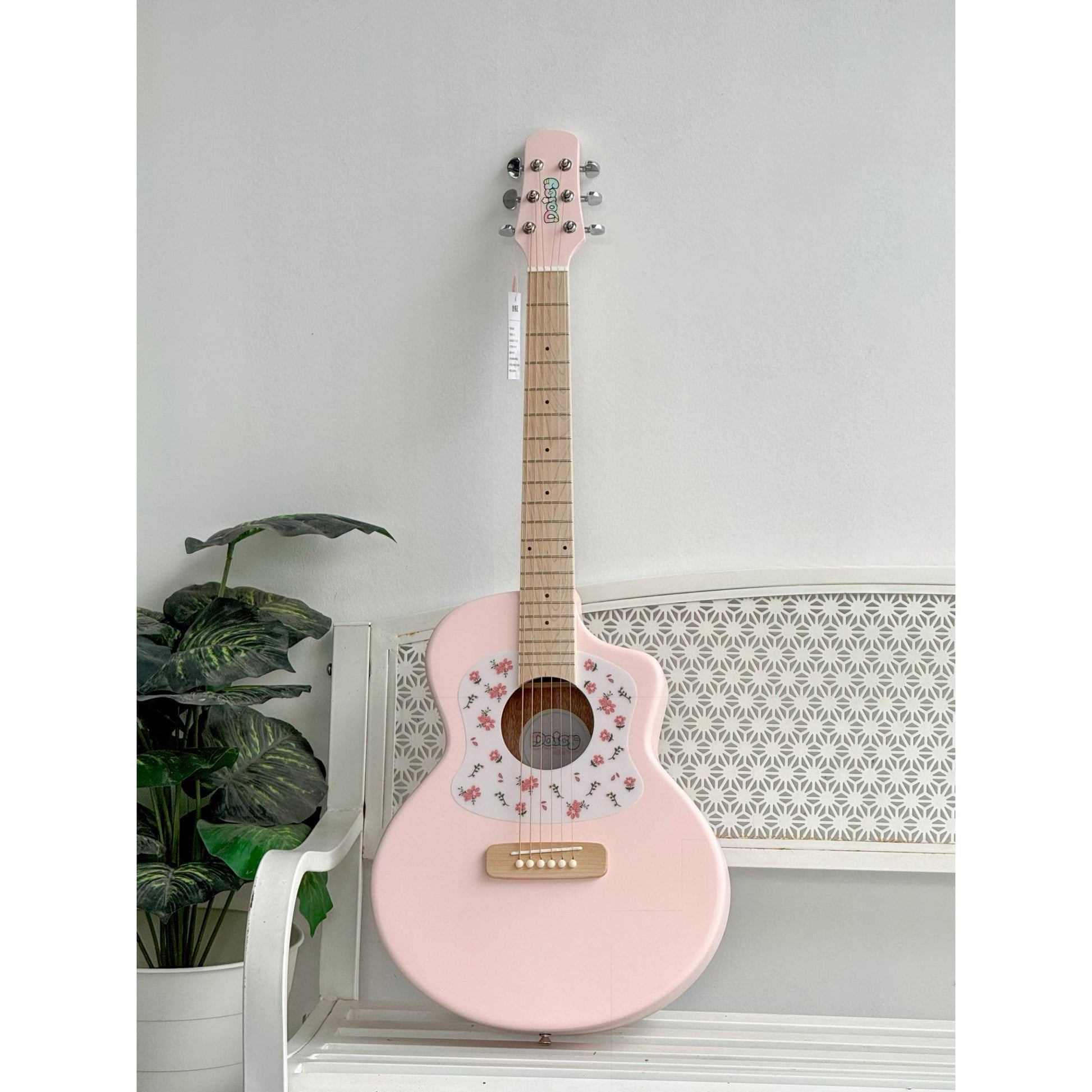 Đàn Guitar Acoustic Daisy D-100 - Việt Music