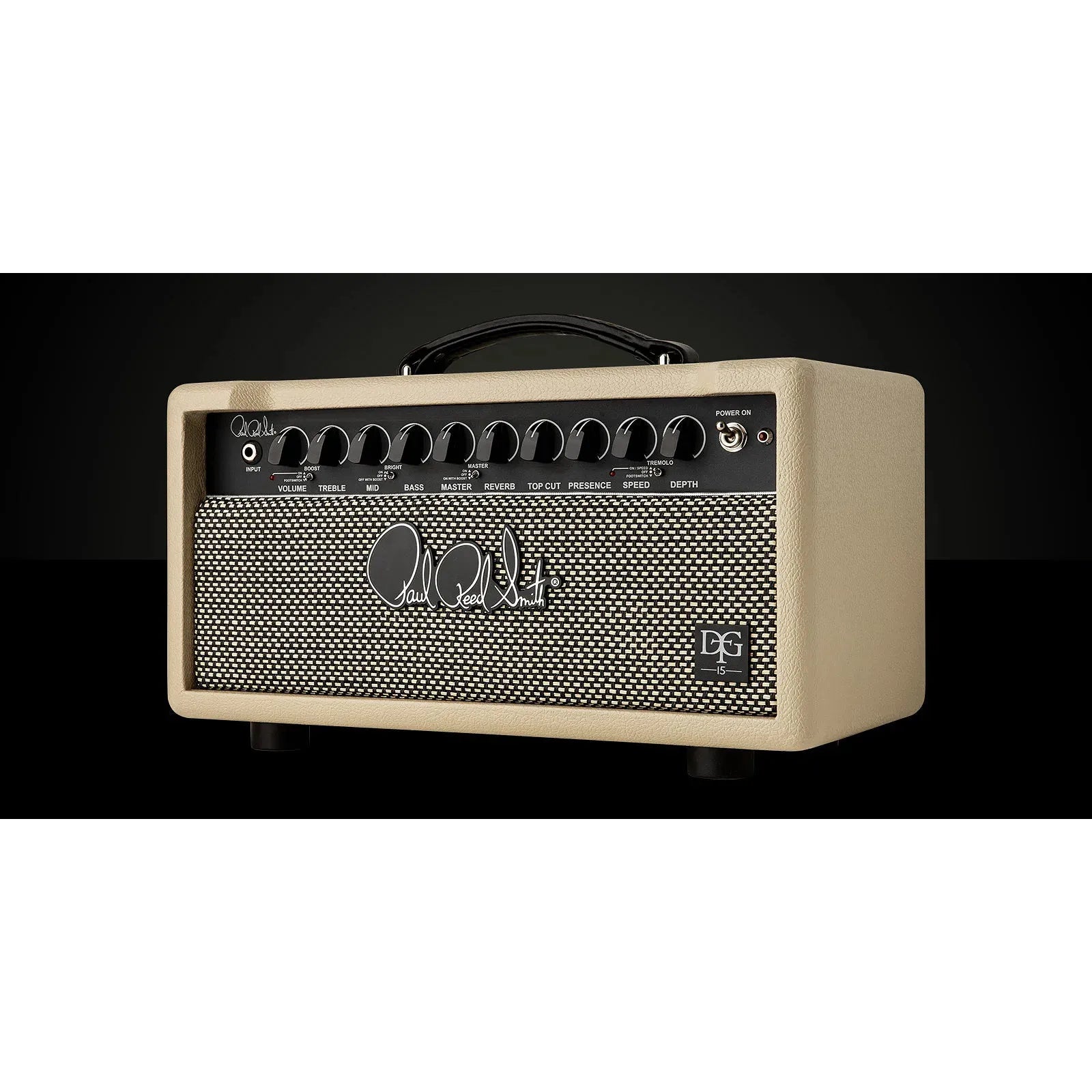 Amplifier PRS DGT 15, Head 15W - Việt Music