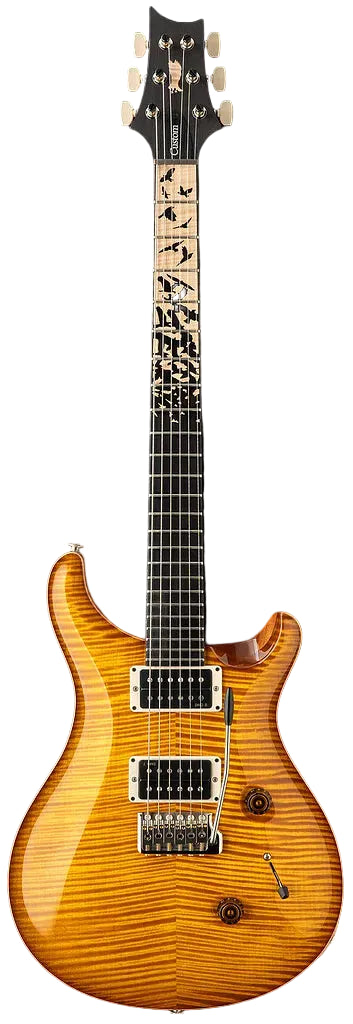 Đàn Guitar Điện PRS Core Custom 24 "Birds of a Feather" Limited Edition HH, Ebony/Maple Fingerboard - Việt Music