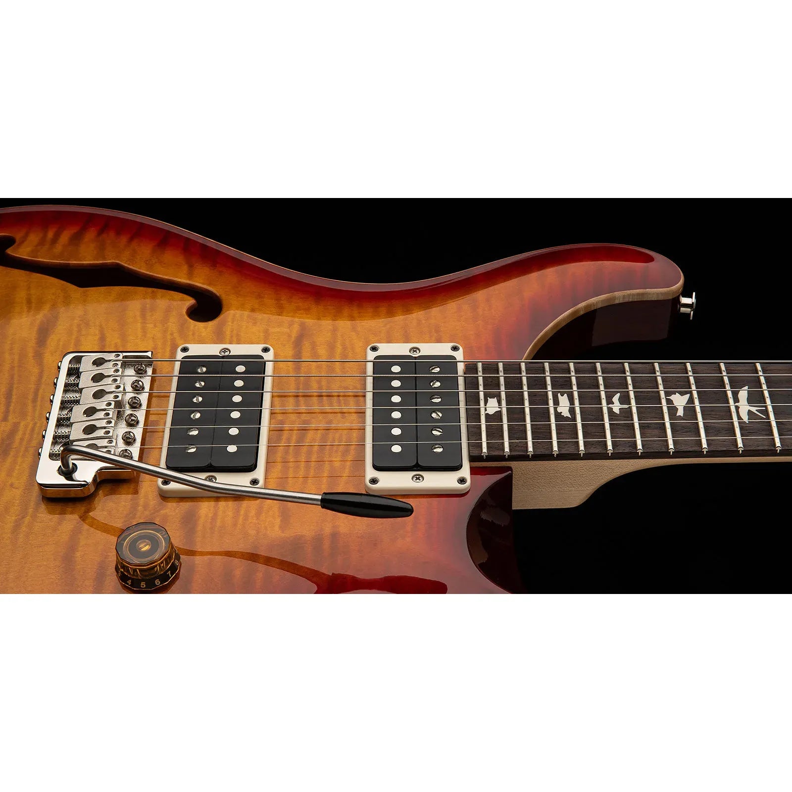 Đàn Guitar Điện PRS Bolt-On CE 24 Semi-Hollow HH, Rosewood Fingerboard (2025) - Việt Music