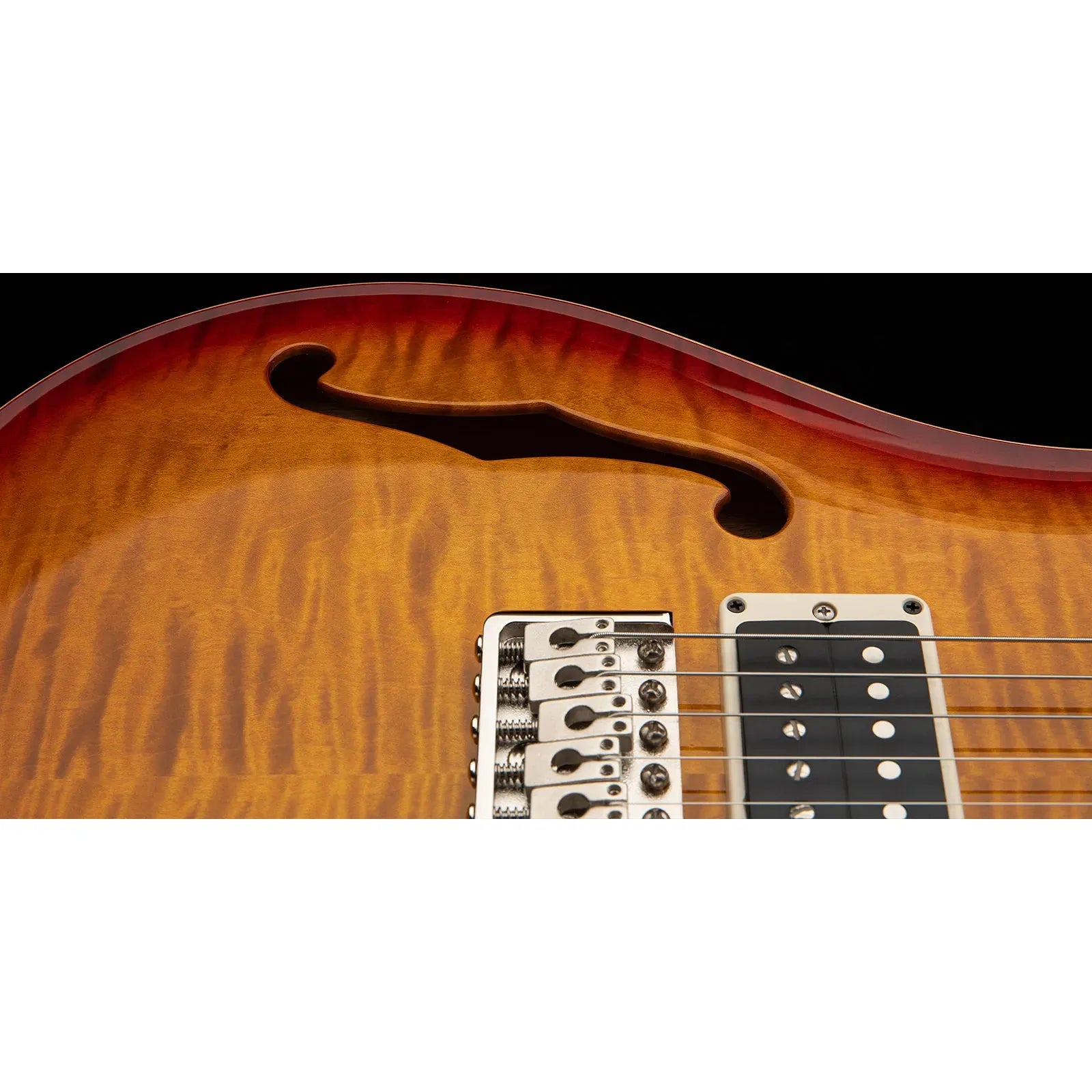 Đàn Guitar Điện PRS Bolt-On CE 24 Semi-Hollow HH, Rosewood Fingerboard (2025) - Việt Music