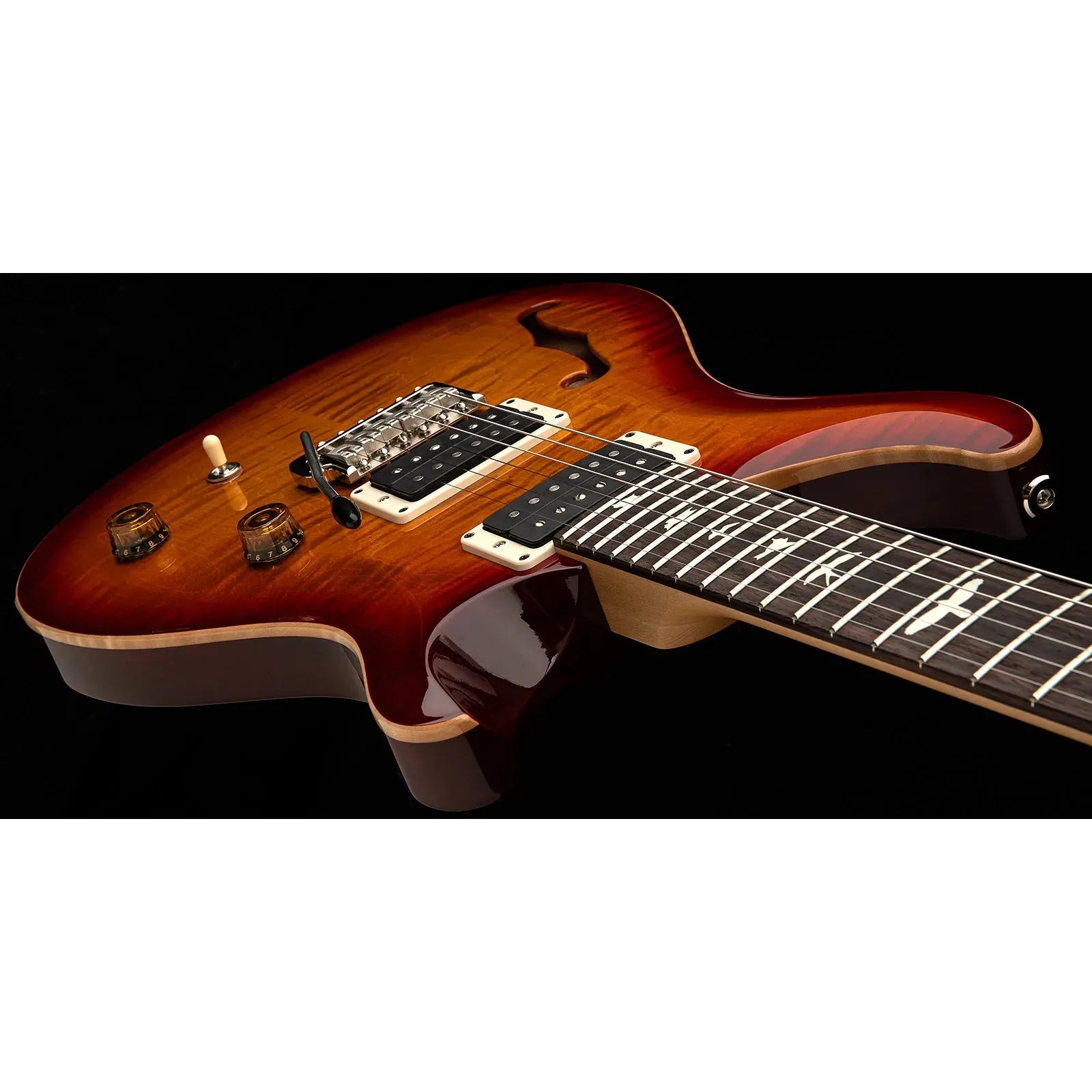 Đàn Guitar Điện PRS Bolt-On CE 24 Semi-Hollow HH, Rosewood Fingerboard (2025) - Việt Music