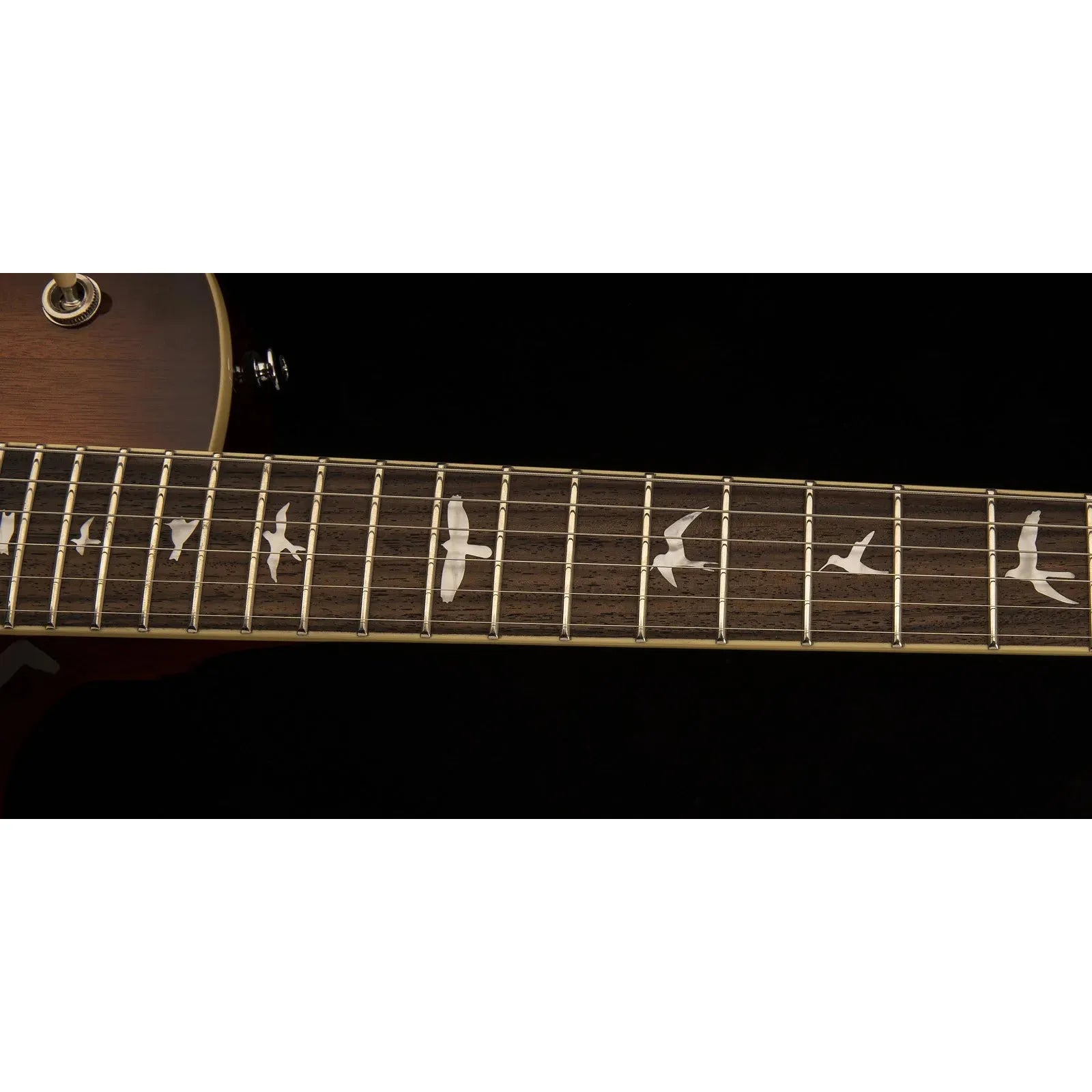 Đàn Guitar Điện PRS SE 245 Standard HH, Rosewood Fingerboard - Việt Music