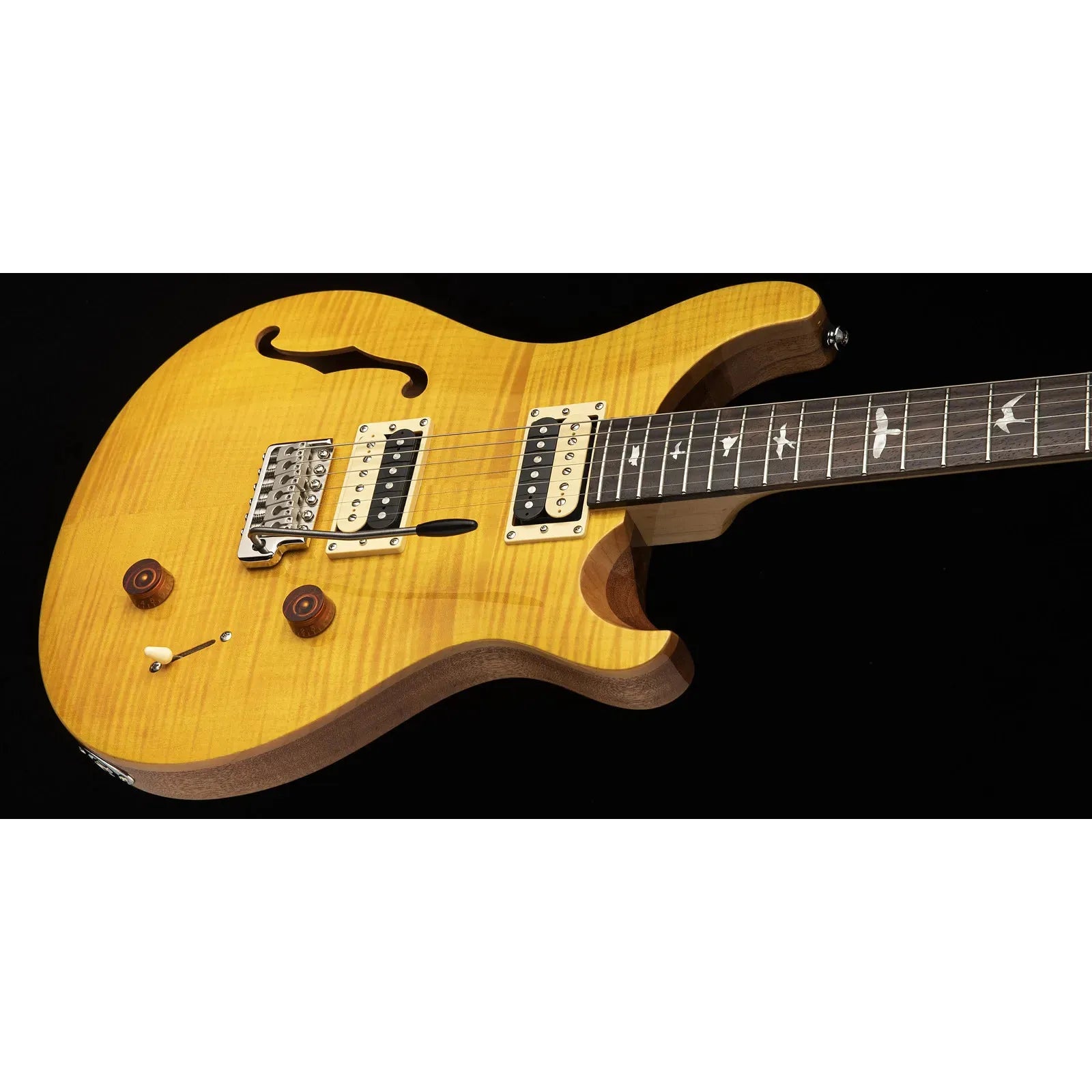 Đàn Guitar Điện PRS SE Custom 22 Semi-Hollow HH, Rosewood Fingerboard - Việt Music