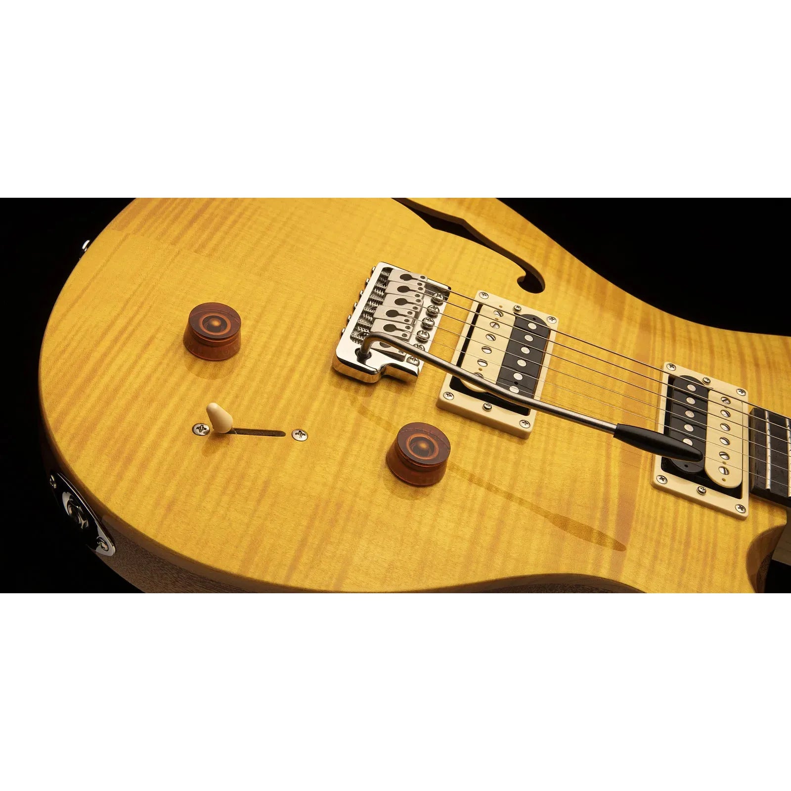 Đàn Guitar Điện PRS SE Custom 22 Semi-Hollow HH, Rosewood Fingerboard - Việt Music