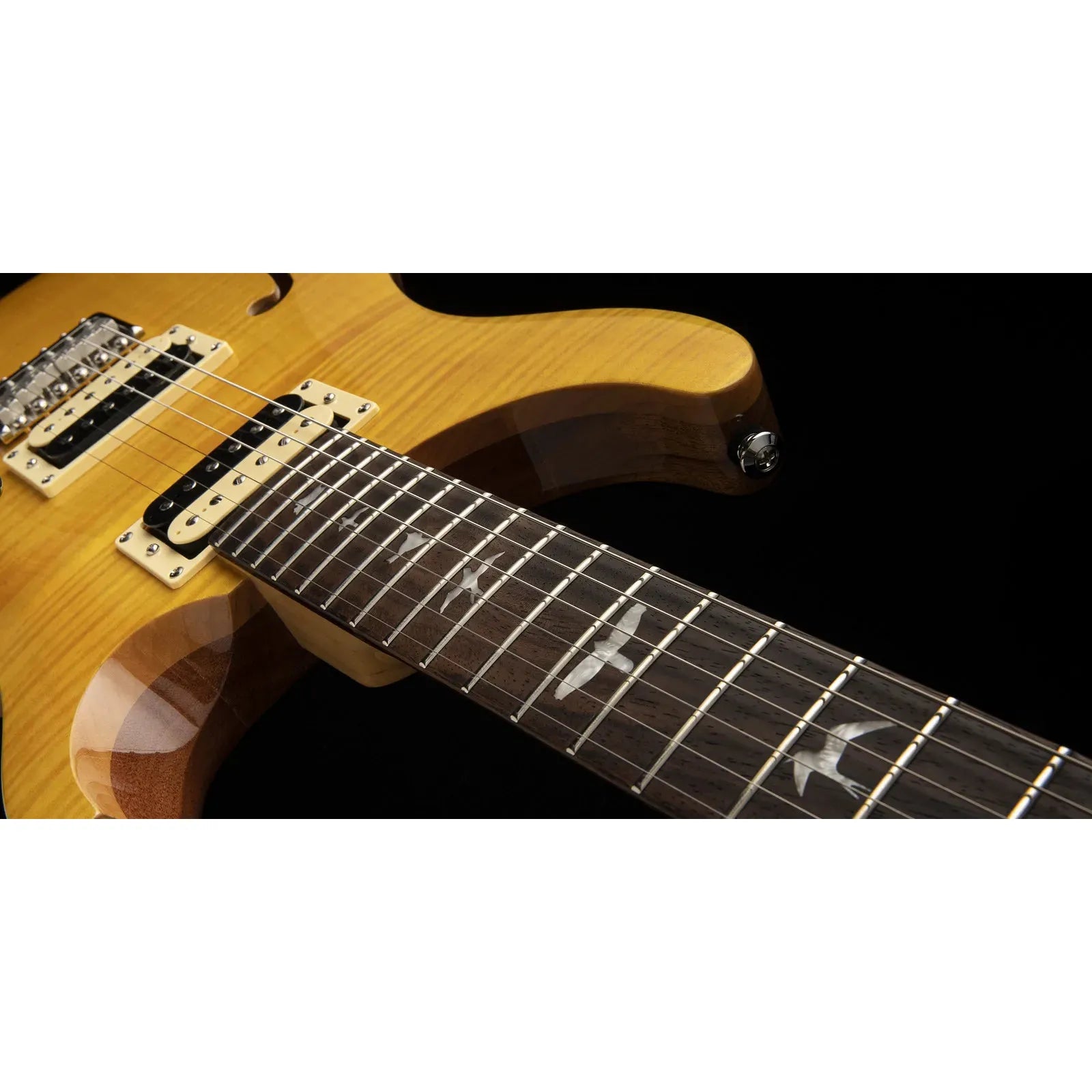 Đàn Guitar Điện PRS SE Custom 22 Semi-Hollow HH, Rosewood Fingerboard - Việt Music