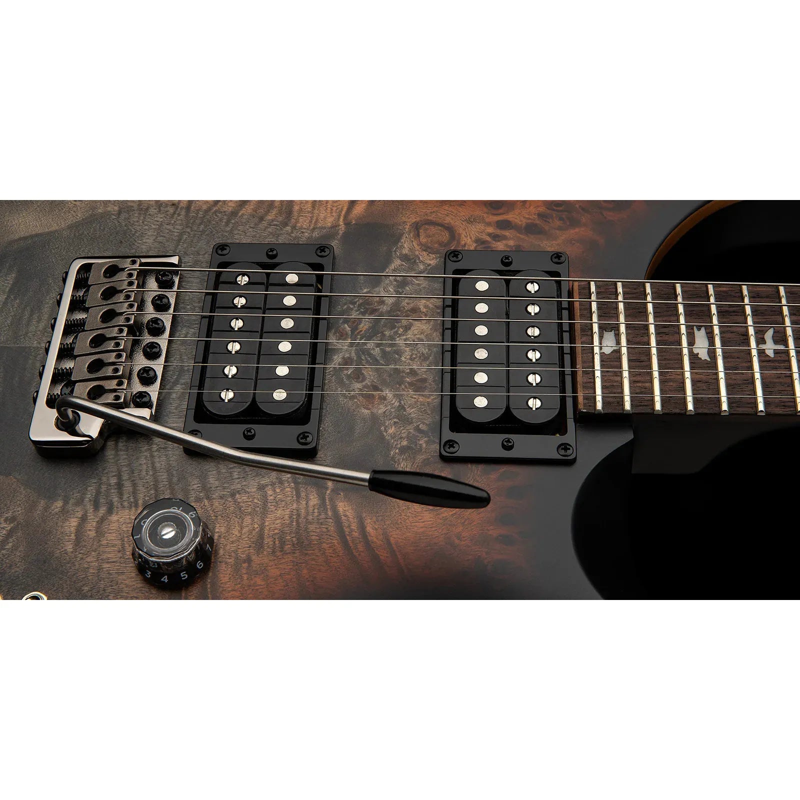 Đàn Guitar Điện PRS SE Custom 24-08 Poplar Burl Limited Edition HH, Rosewood Fingerboard (2025) - Việt Music