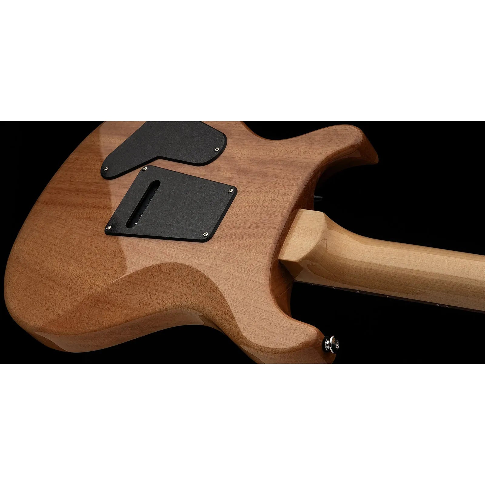 Đàn Guitar Điện PRS SE Custom 24 Burled Ash Limited Edition HH, Rosewood Fingerboard (2025) - Việt Music