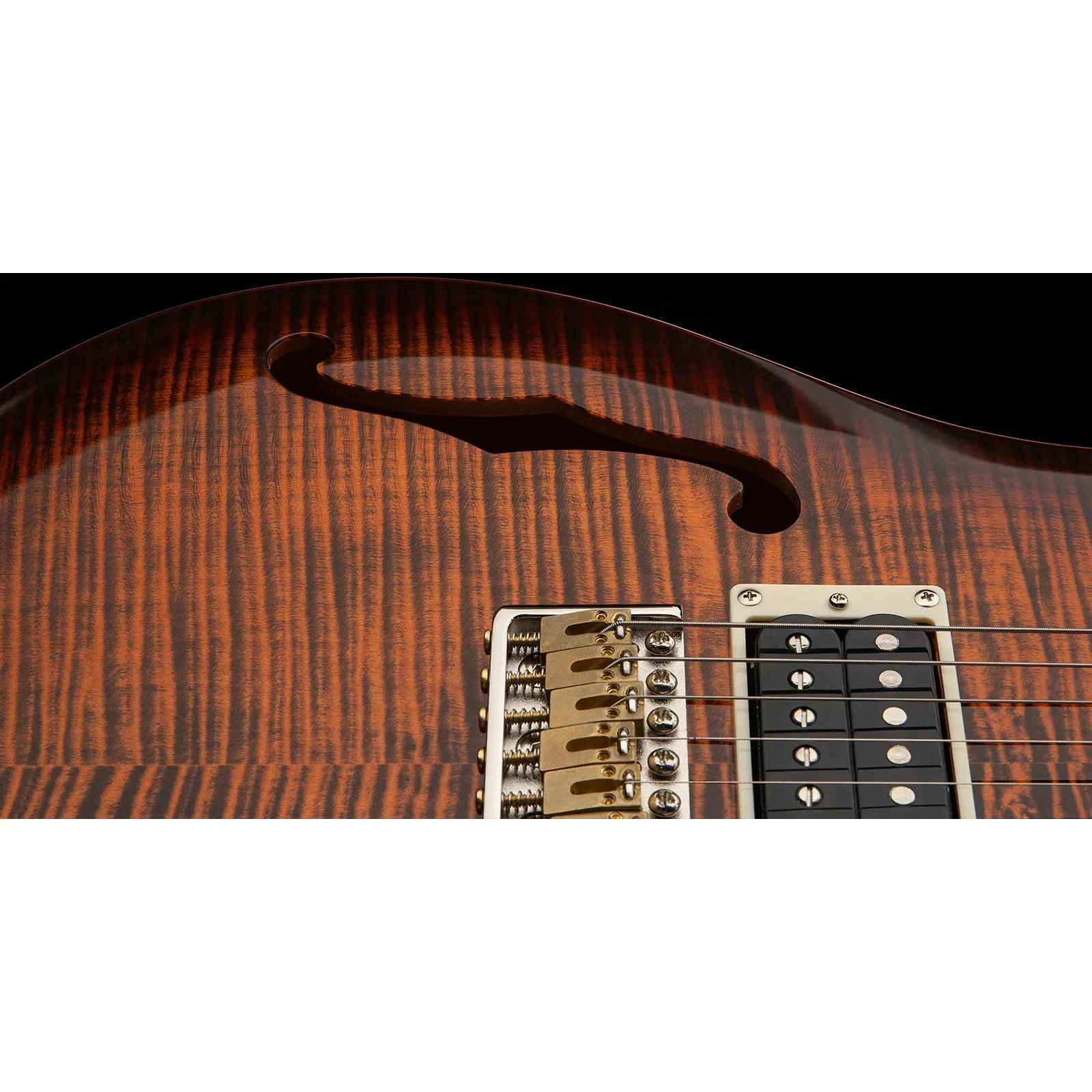 Đàn Guitar Điện PRS SE Custom 24 Semi-Hollow Piezo HH, Rosewood Fingerboard (2025) - Việt Music