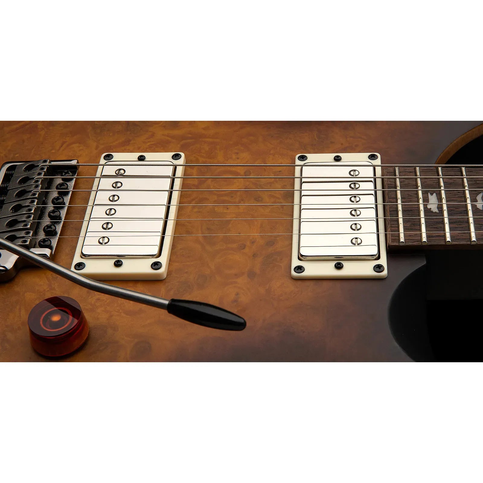 Đàn Guitar Điện PRS SE DGT Laurel Burl Limited Edition HH, Rosewood Fingerboard (2025) - Việt Music