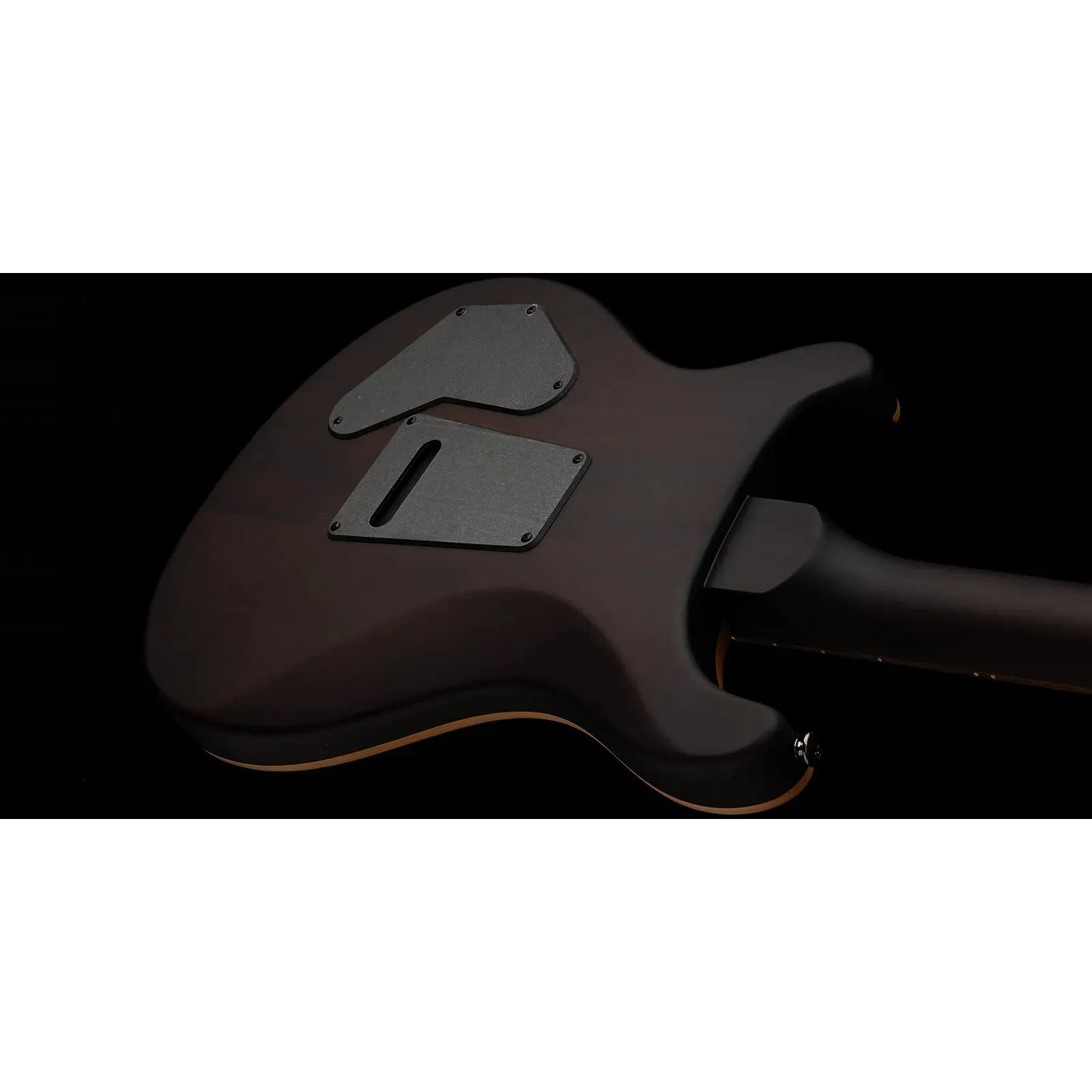 Đàn Guitar Điện PRS SE DGT Laurel Burl Limited Edition HH, Rosewood Fingerboard (2025) - Việt Music
