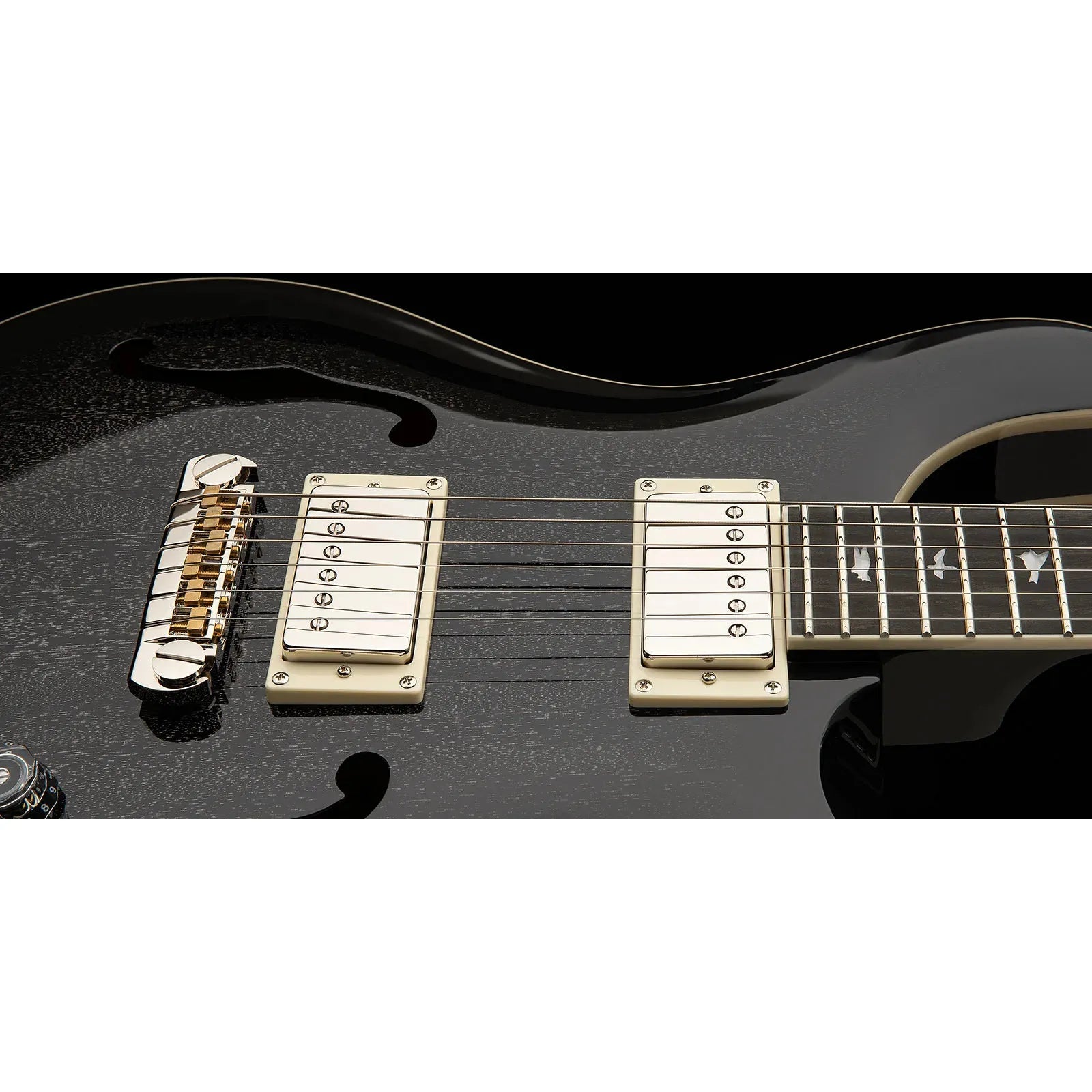 Đàn Guitar Điện PRS SE Hollowbody Standard HH, Ebony Fingerboard (2025) - Việt Music