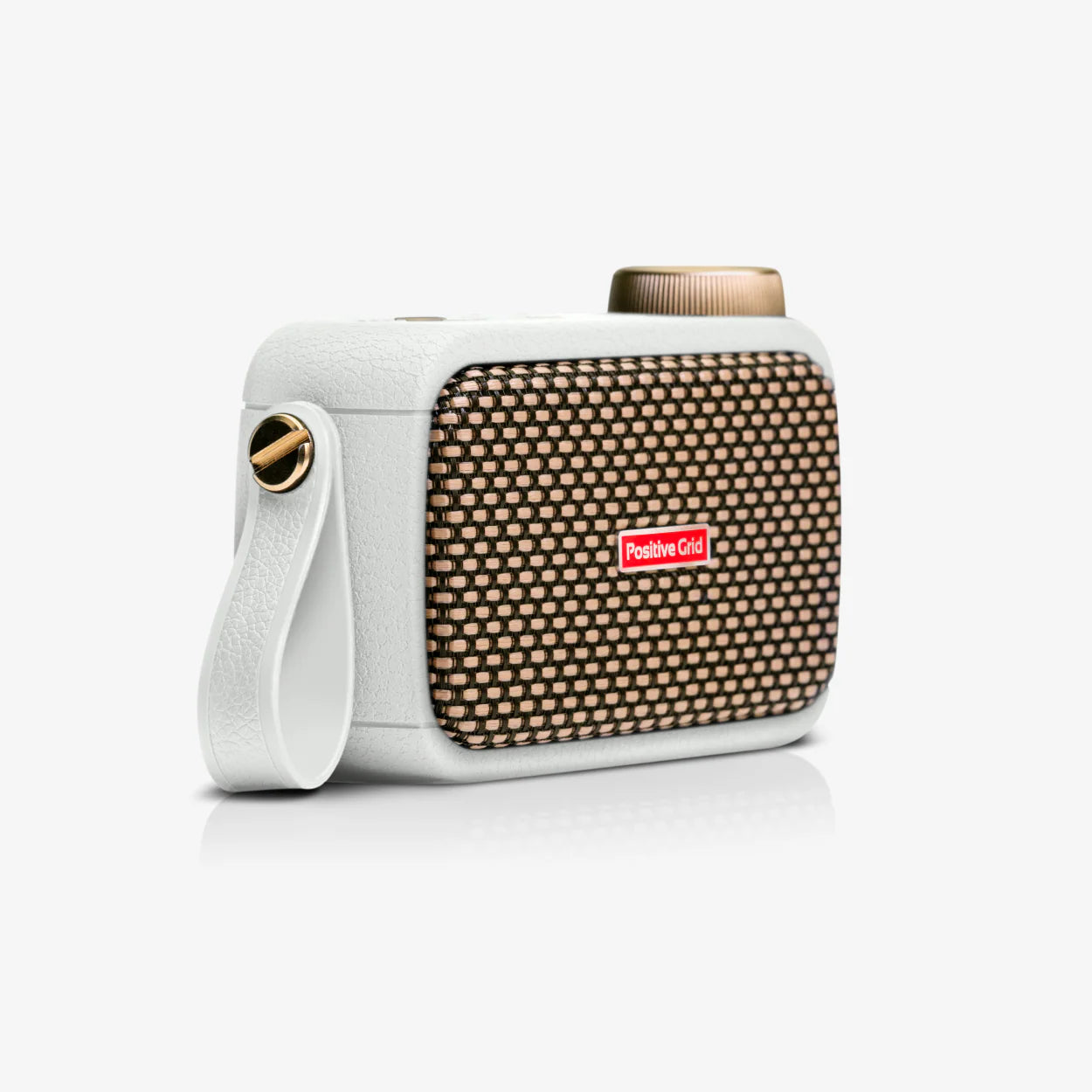 Amplifier Positive Grid Spark Go, Combo 5W - Việt Music