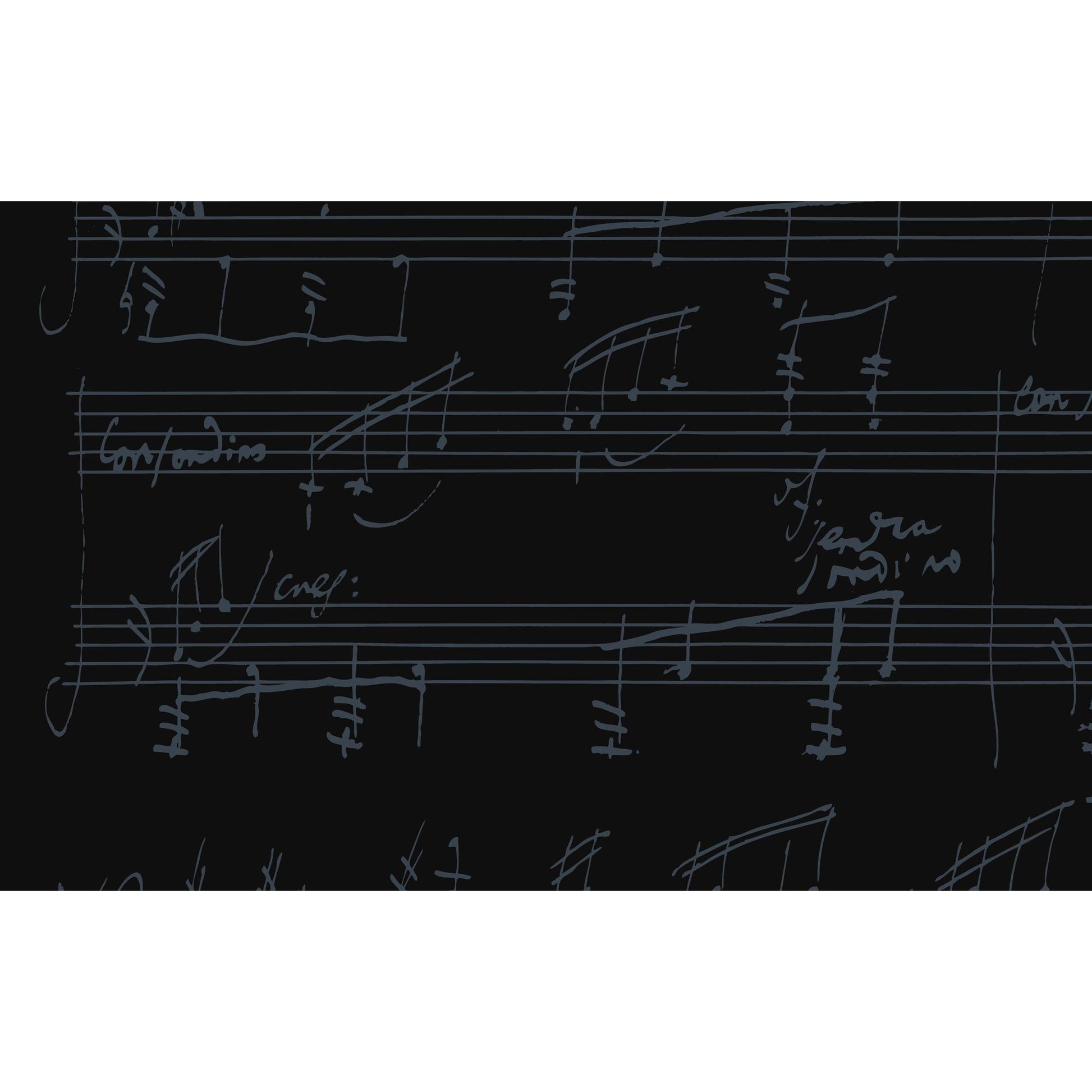 Grand Piano Bösendorfe 250 Years Beethoven - Việt Music