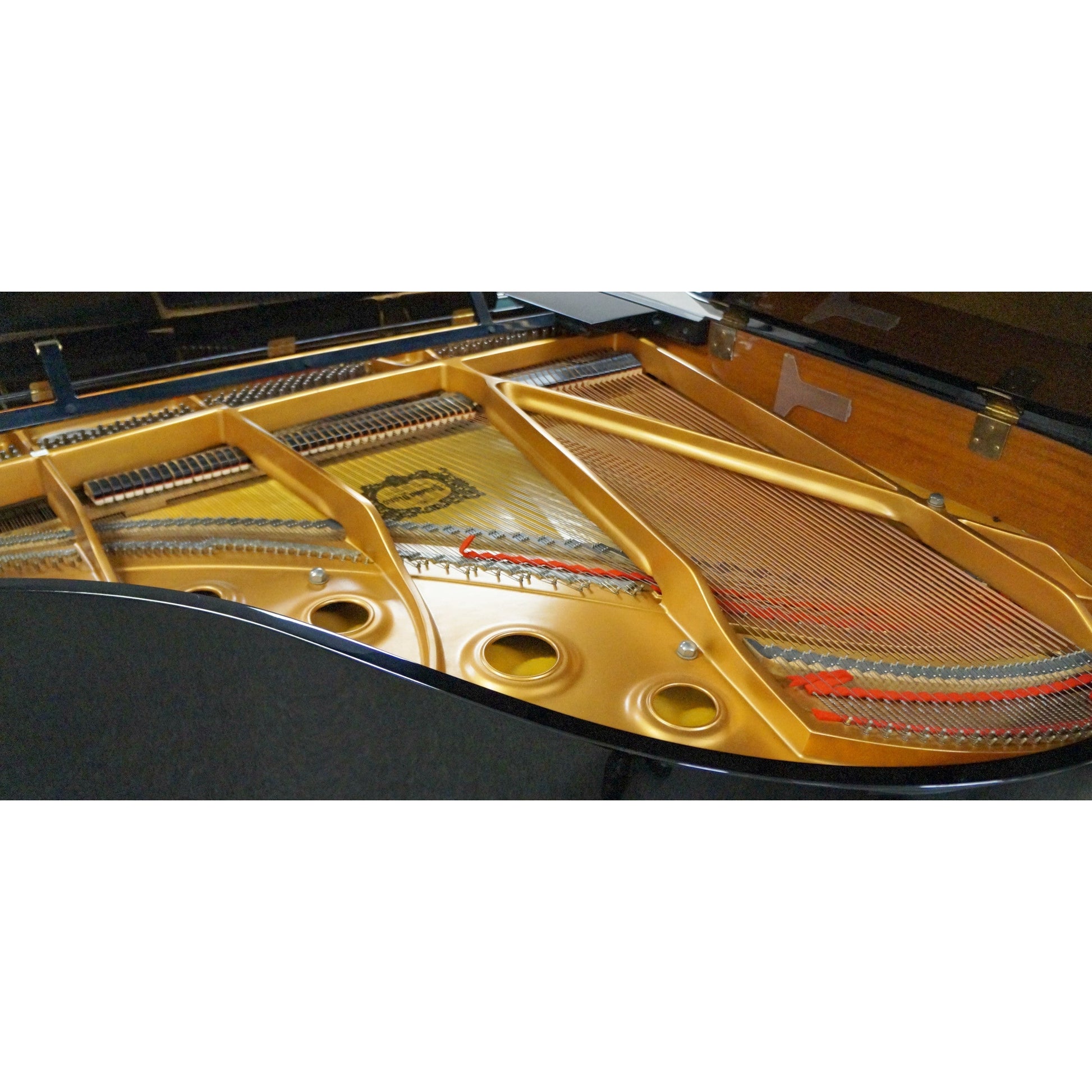 Grand Piano Yamaha C1 PE - C Series - Việt Music