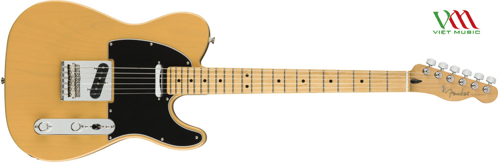 Nên Mua Đàn Guitar Ở Đâu Tại TPHCM