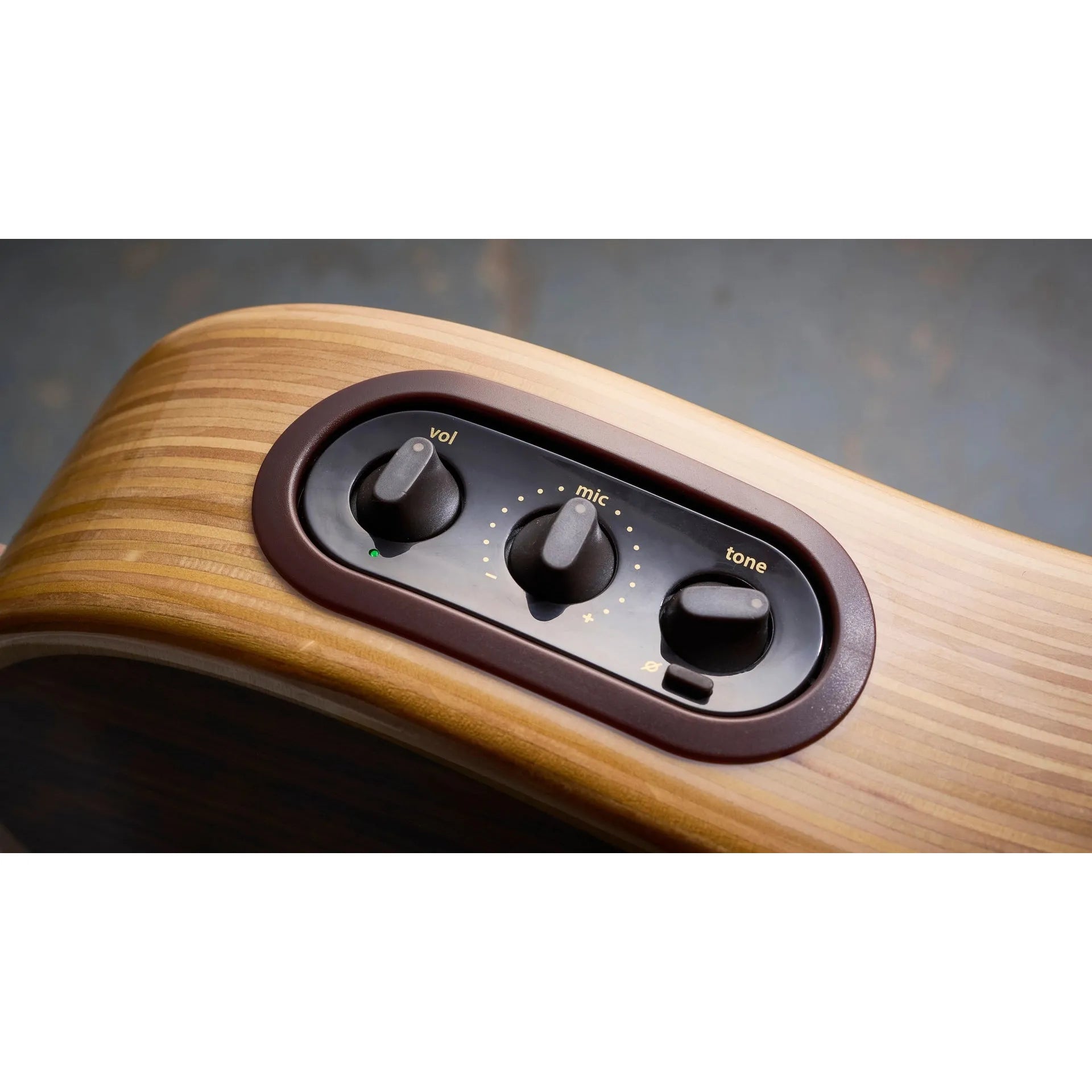 Đàn Guitar Acoustic LR Baggs AEG-1 - Việt Music