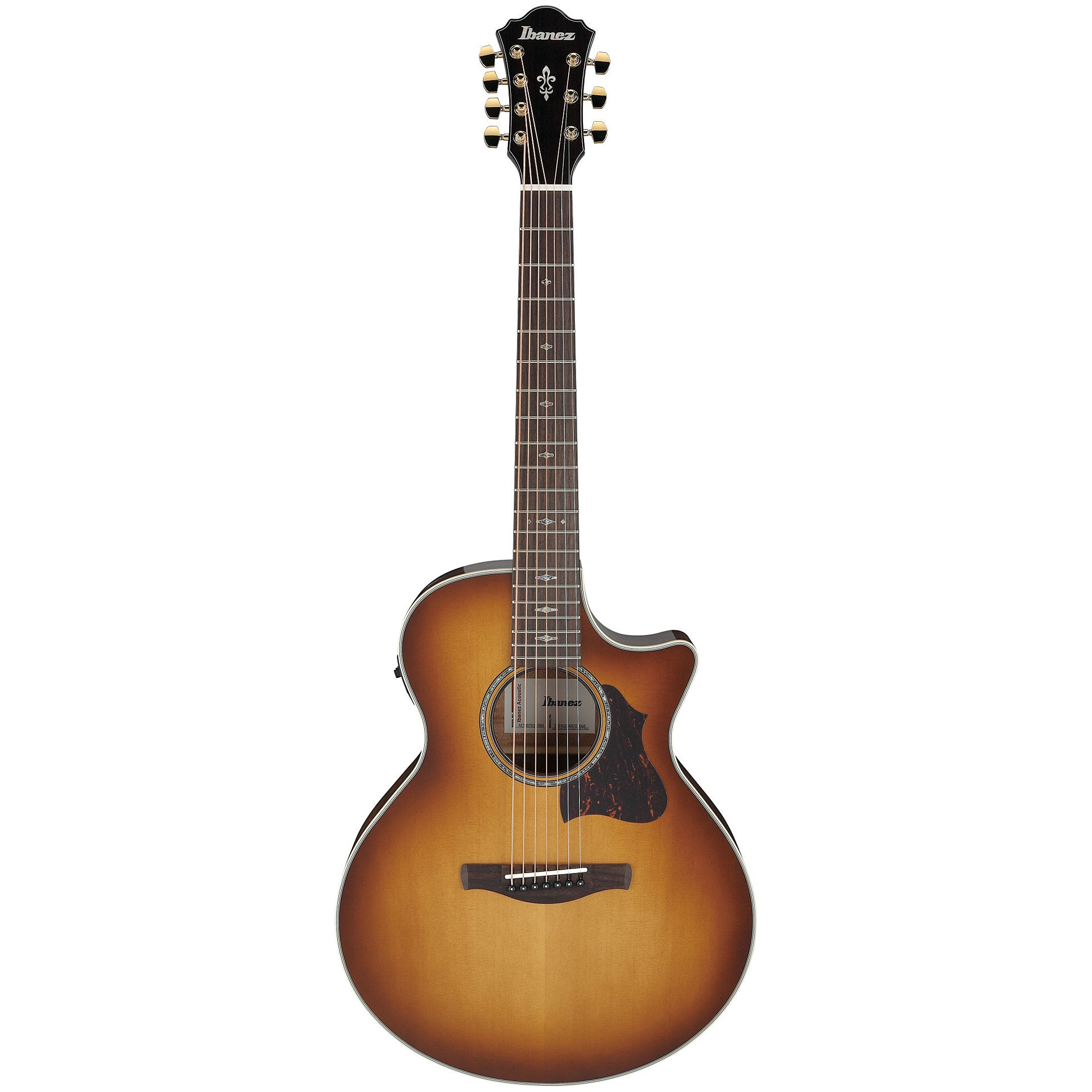 Đàn Guitar Acoustic Ibanez AE3007FMH - 7 Strings - Việt Music