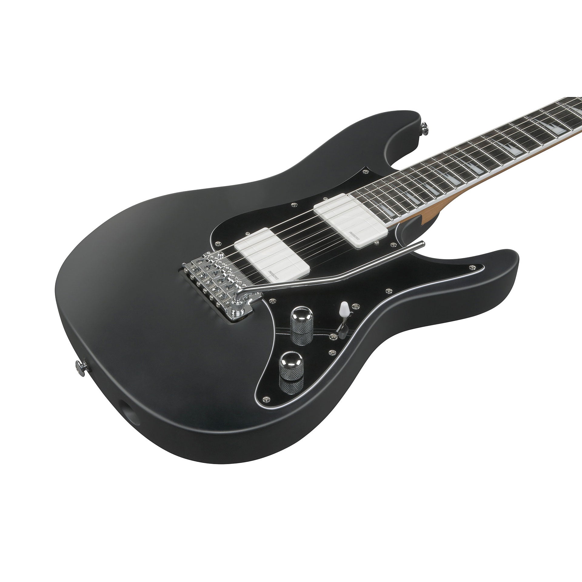 Đàn Guitar Điện Ibanez BER10 Bernth Signature HH, Ebony Fingerboard, Matte Black - Việt Music