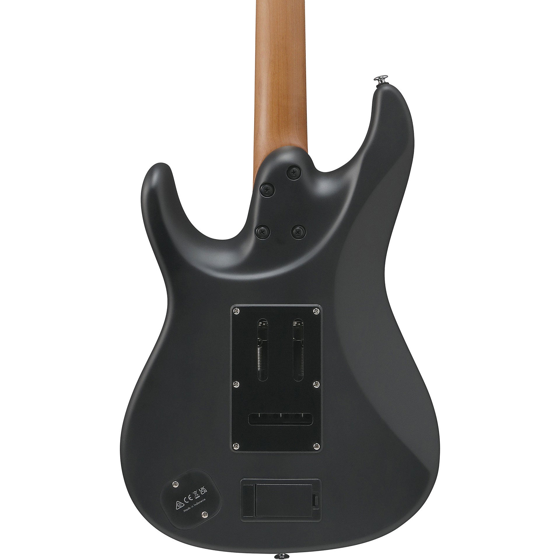 Đàn Guitar Điện Ibanez BER10 Bernth Signature HH, Ebony Fingerboard, Matte Black - Việt Music