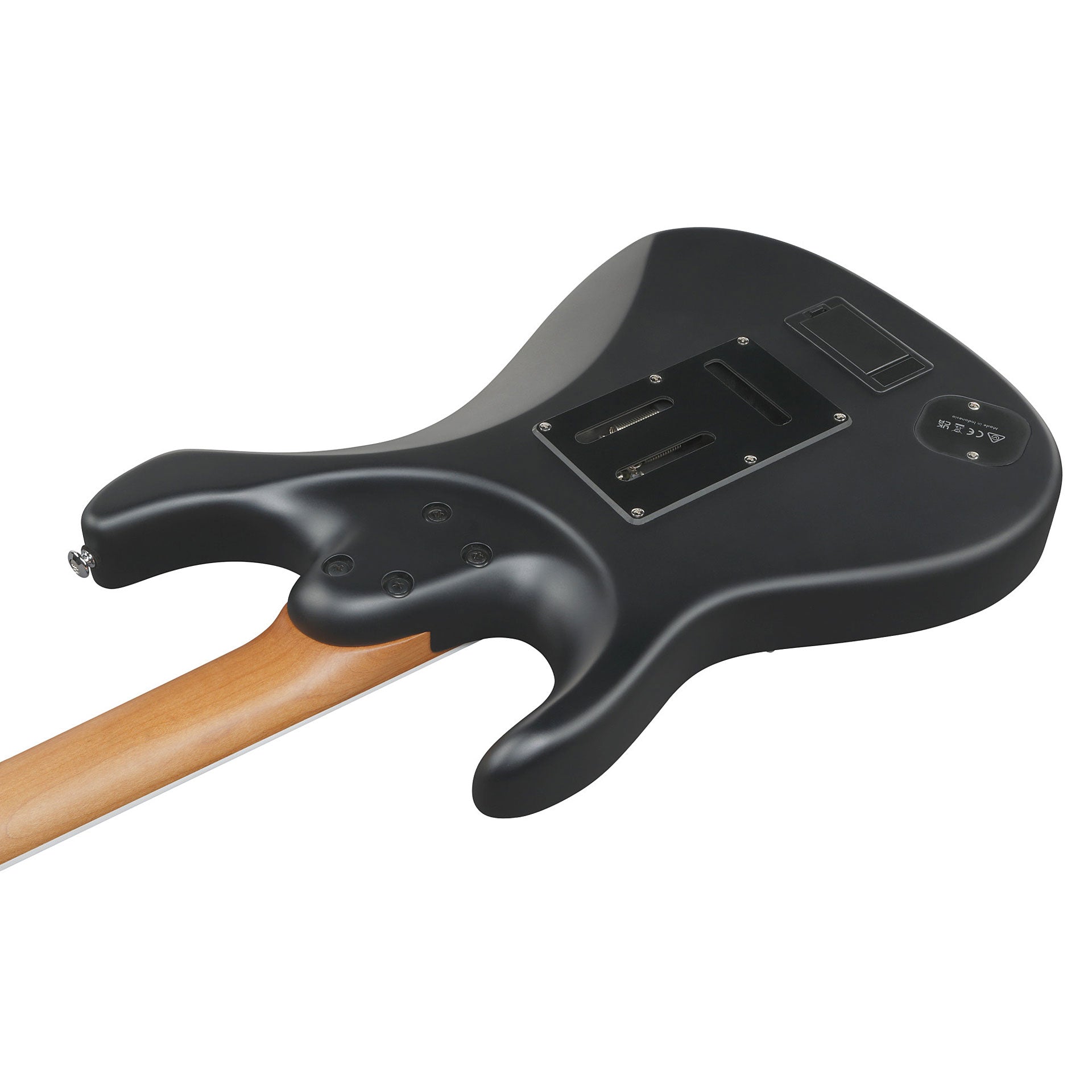 Đàn Guitar Điện Ibanez BER10 Bernth Signature HH, Ebony Fingerboard, Matte Black - Việt Music