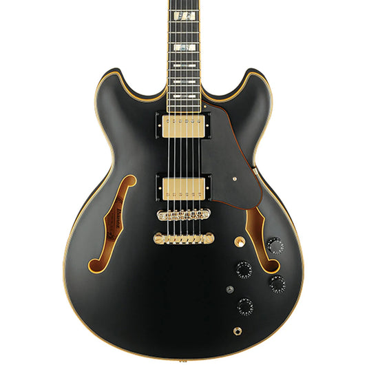 Đàn Guitar Điện Ibanez JSM20 John Scofield Signature HH, Ebony Fingerboard, Black Low Gloss - Việt Music