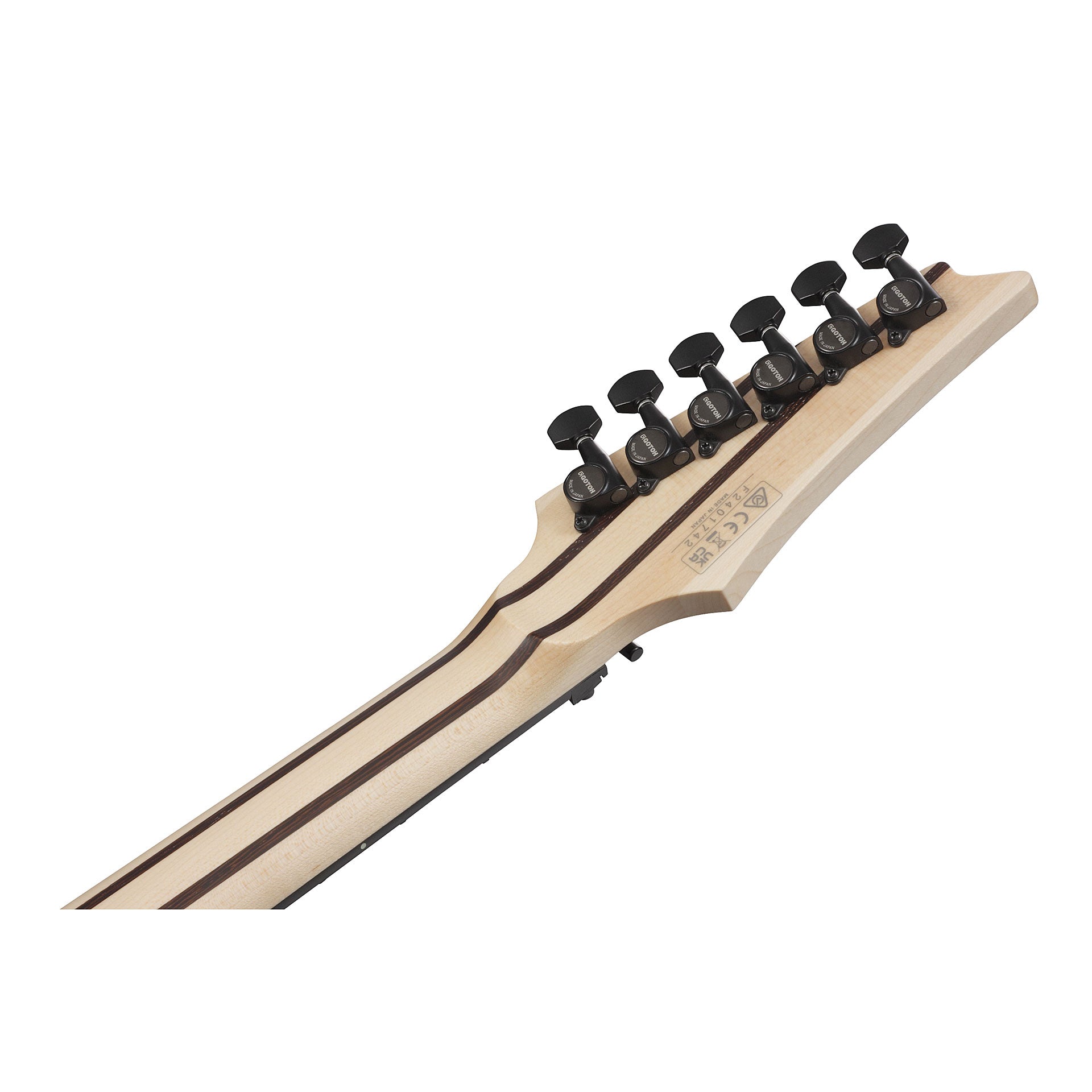 Đàn Guitar Điện Ibanez RGR5130 HH, Ebony Fingerboard - Việt Music