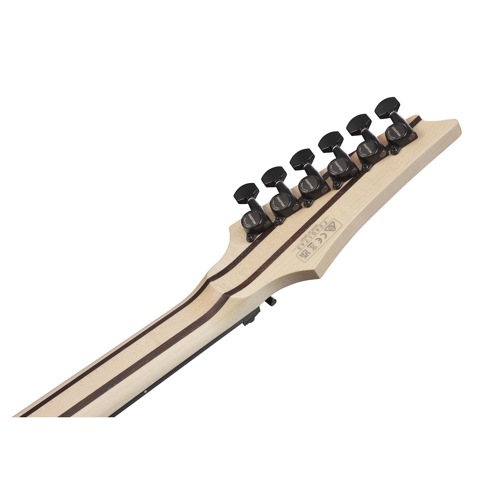 Đàn Guitar Điện Ibanez RGR5130 HH, Ebony Fingerboard - Việt Music