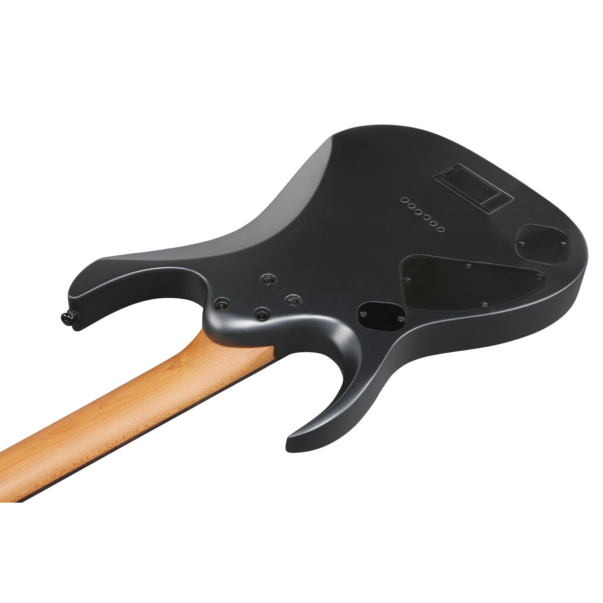 Đàn Guitar Điện Ibanez RGD61 HH, Ebony Fingerboard, Black Aurora Burst Matte - Việt Music