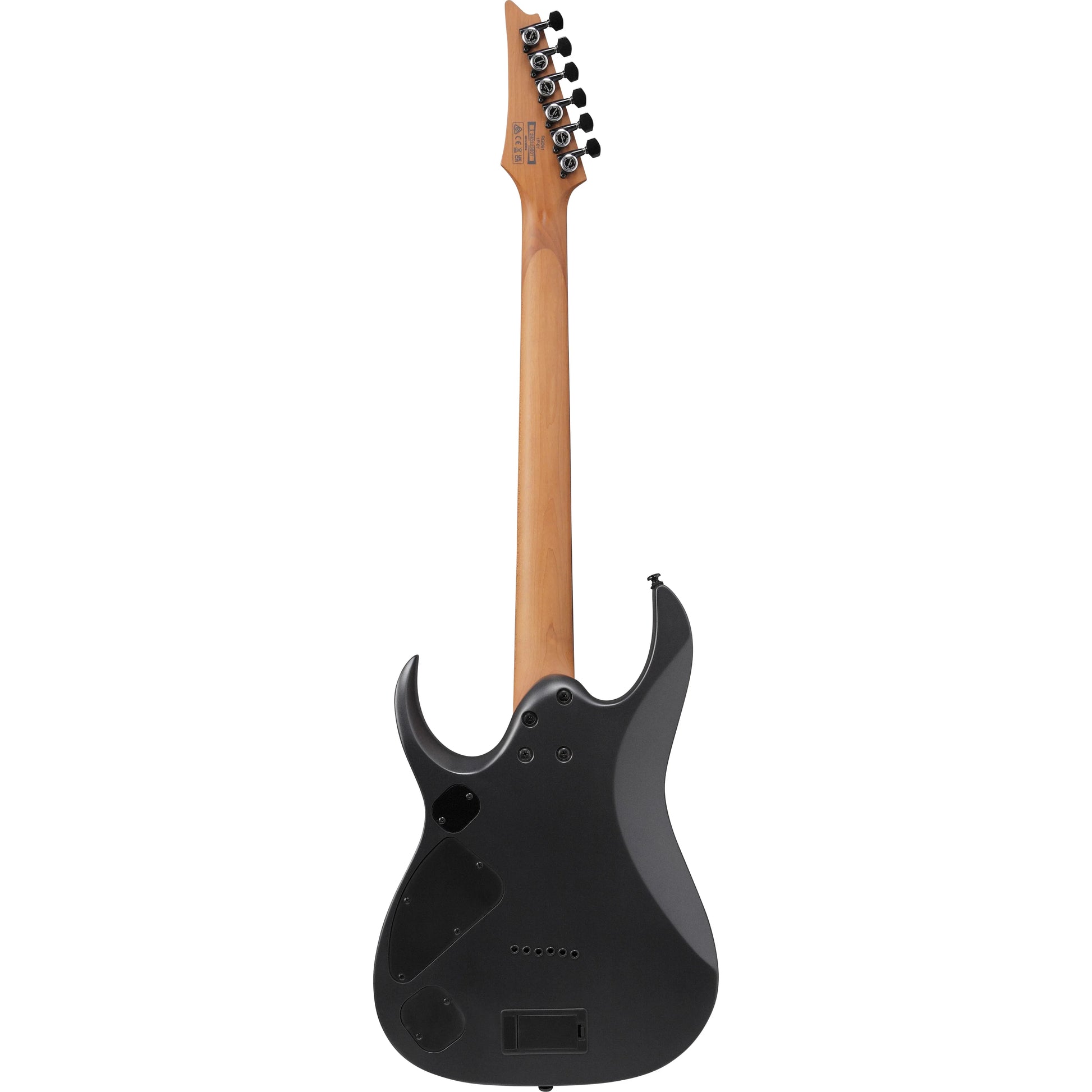 Đàn Guitar Điện Ibanez RGD61 HH, Ebony Fingerboard, Black Aurora Burst Matte - Việt Music