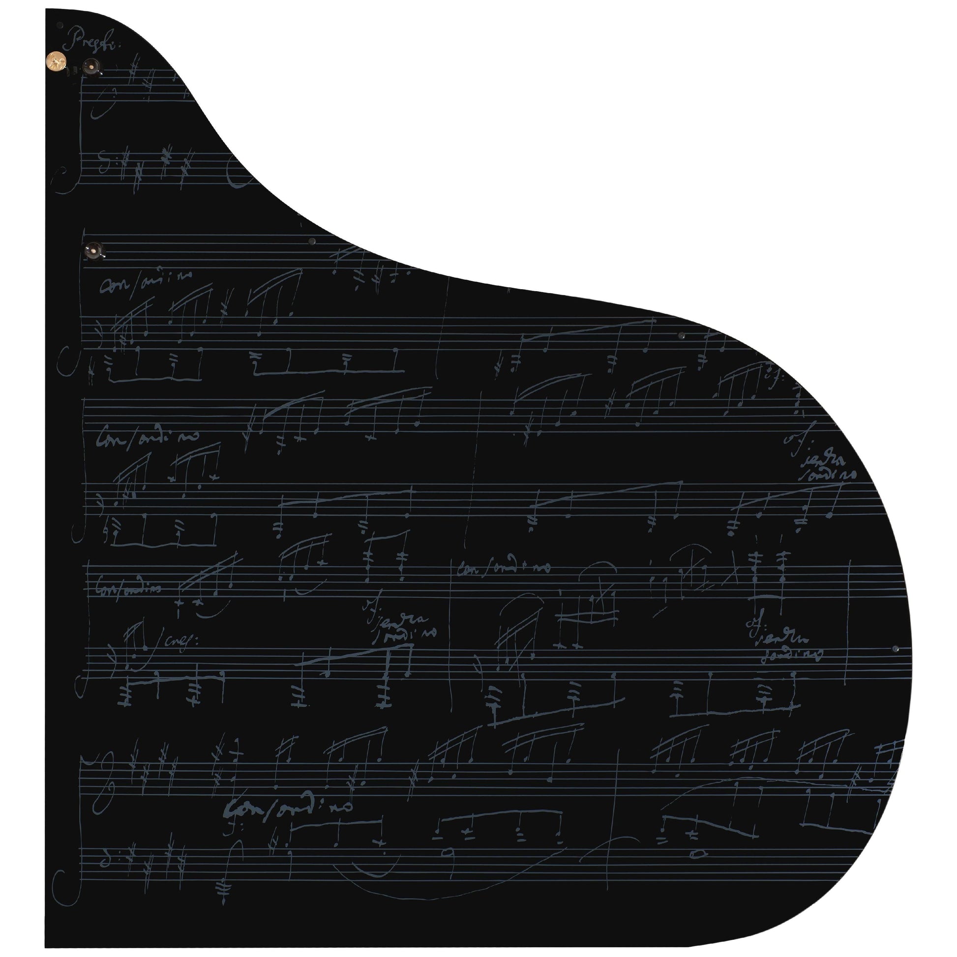 Grand Piano Bösendorfe 250 Years Beethoven - Việt Music