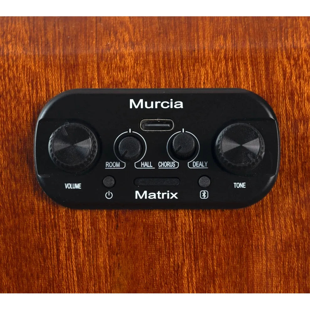 Đàn Guitar Acoustic Murcia AS-10CE - Việt Music