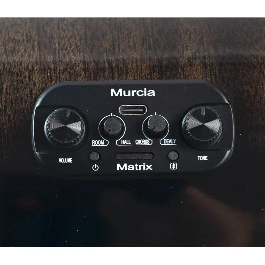 Đàn Guitar Acoustic Murcia AS-20CE - Việt Music