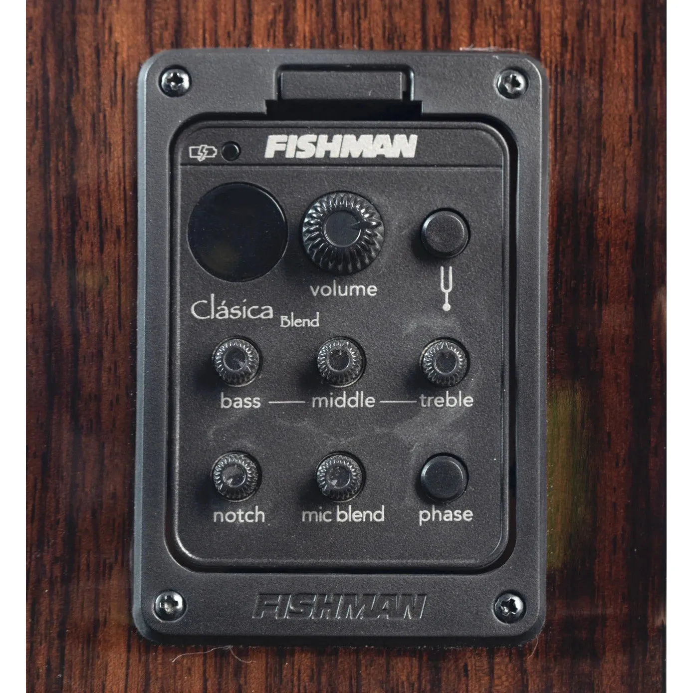 Đàn Guitar Classic Murcia Fusion Rose - Việt Music