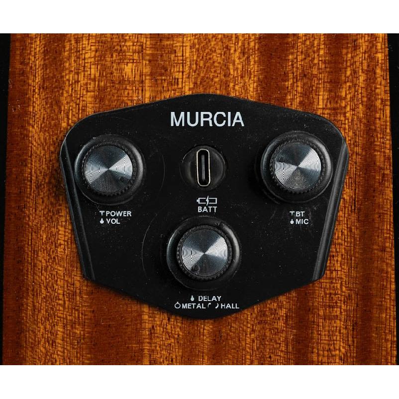 Đàn Guitar Classic Murcia Fusion MH - Việt Music