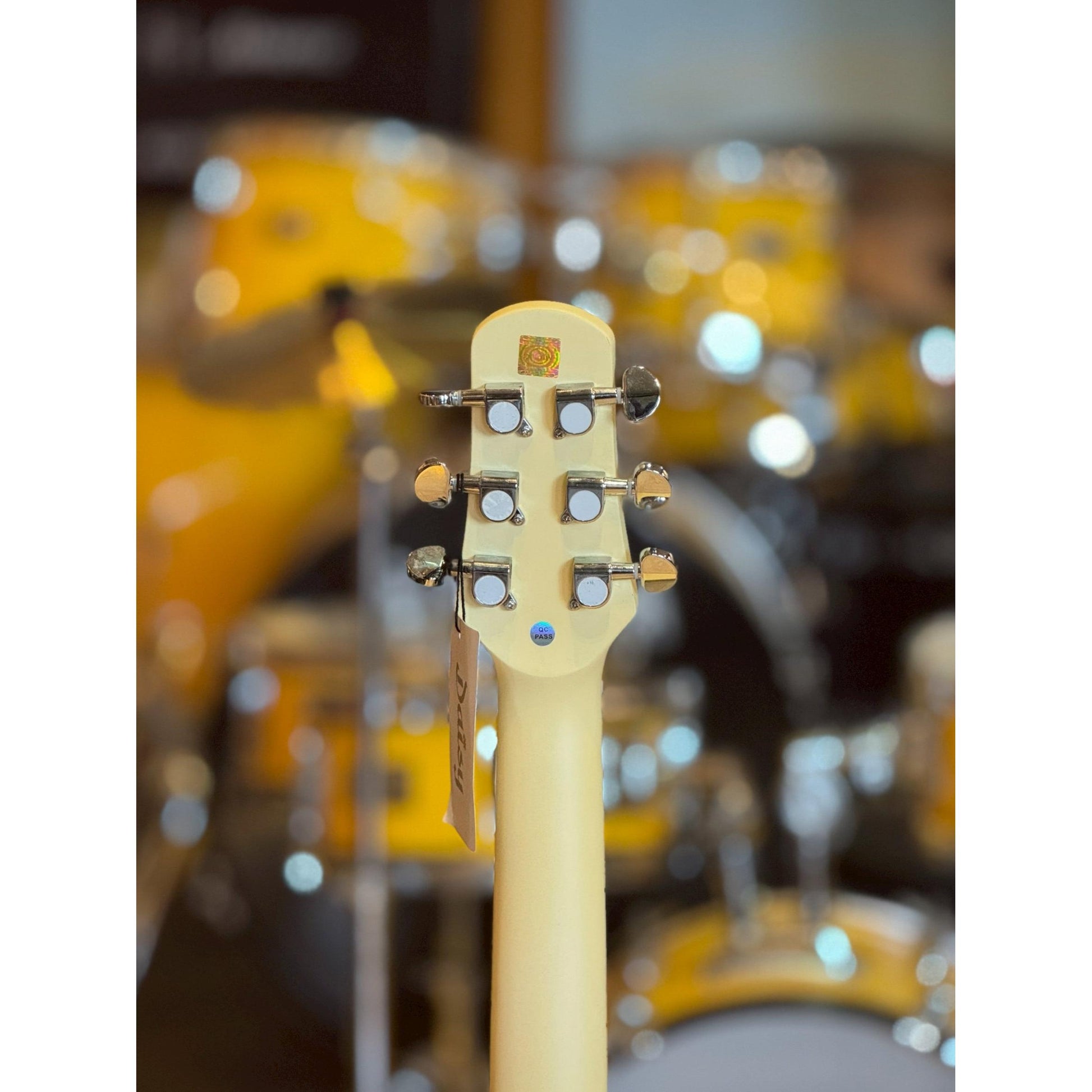 Đàn Guitar Acoustic Daisy D-100 - Việt Music