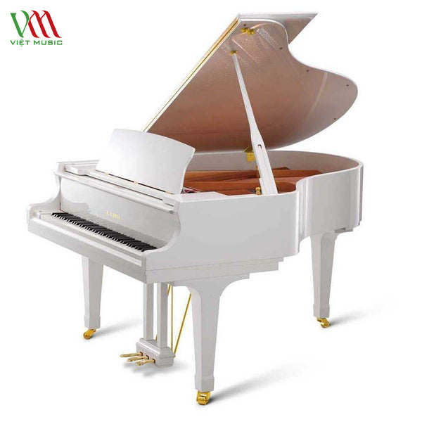 Top 10 Đàn Piano Màu Trắng Sang Chảnh Quý Phái