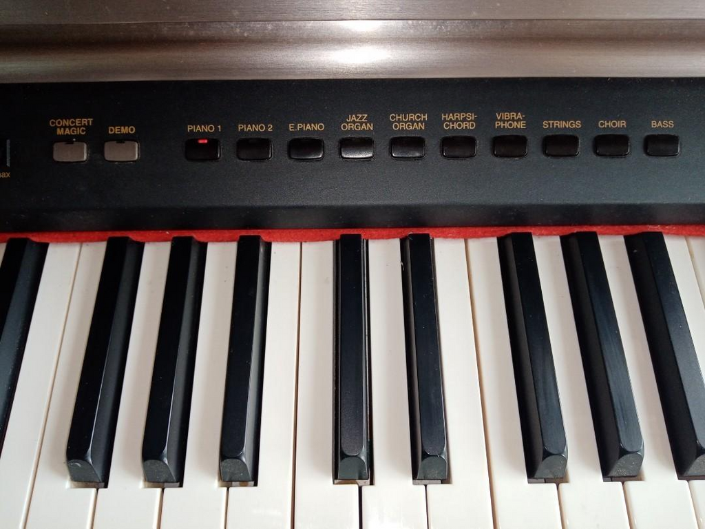 Đàn Piano Điện Kawai PW1000 - Qua Sử Dụng