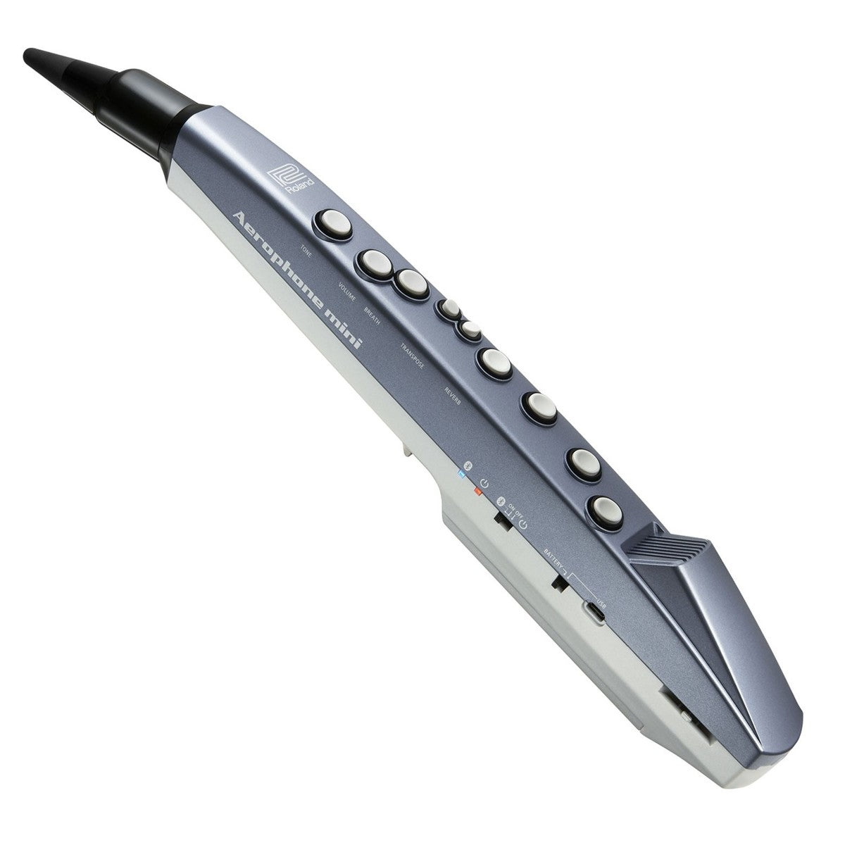 Ken Roland Kèn Điện Roland Aerophone Mini – Việt Music