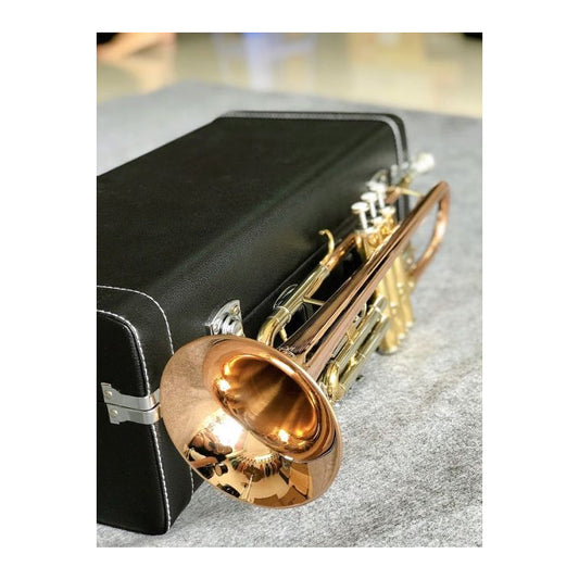 Kèn Trumpet Amati ATR-311 - Việt Music