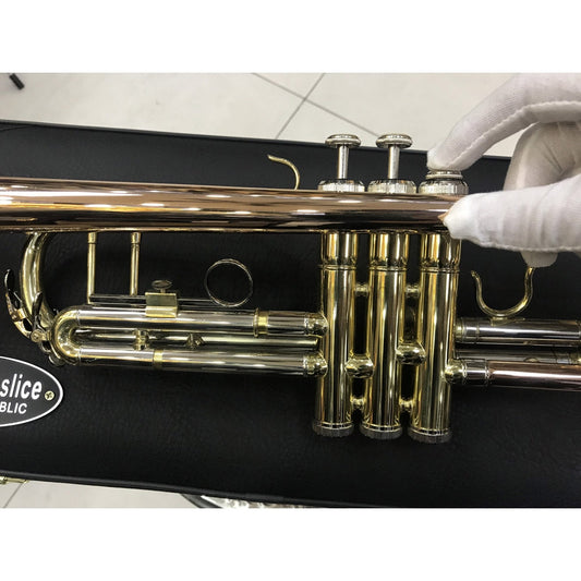 Kèn Trumpet Amati TR-300 - Việt Music