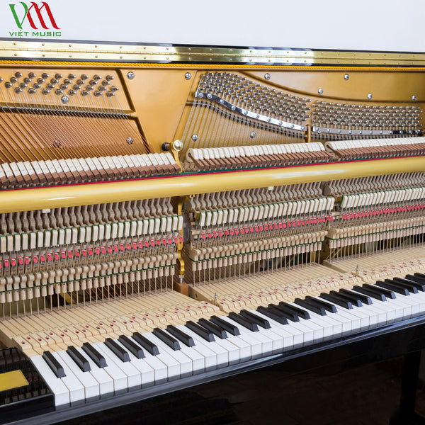 Dịch Vụ Lên Dây Đàn Piano Tại TPHCM
