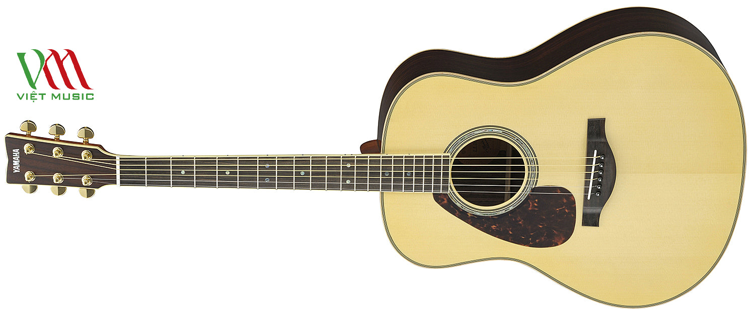 Các Mẫu Đàn Guitar Cho Người Chơi Tay Trái Chất Lượng Cao