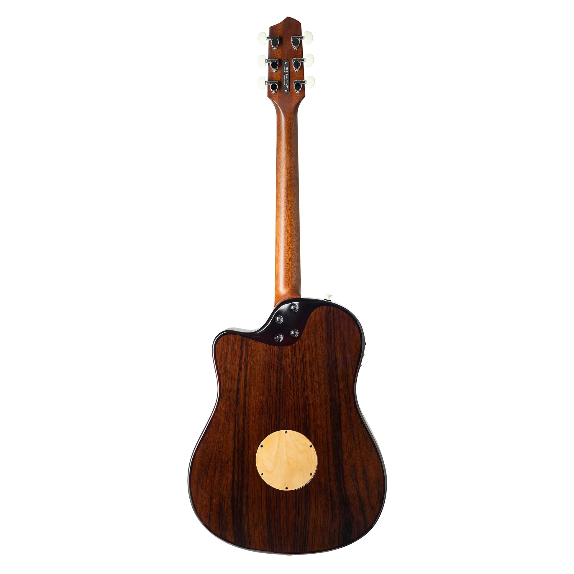 Đàn Guitar Acoustic LR Baggs AEG-1 - Việt Music