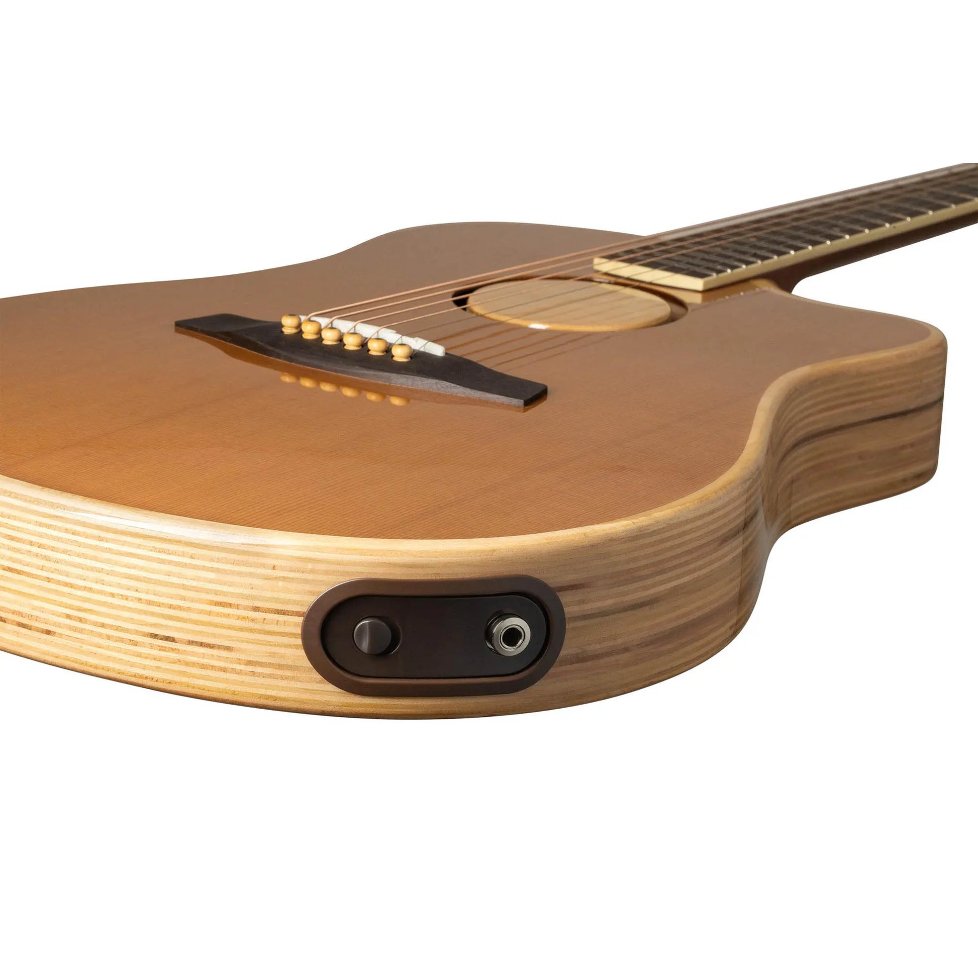 Đàn Guitar Acoustic LR Baggs AEG-1 - Việt Music