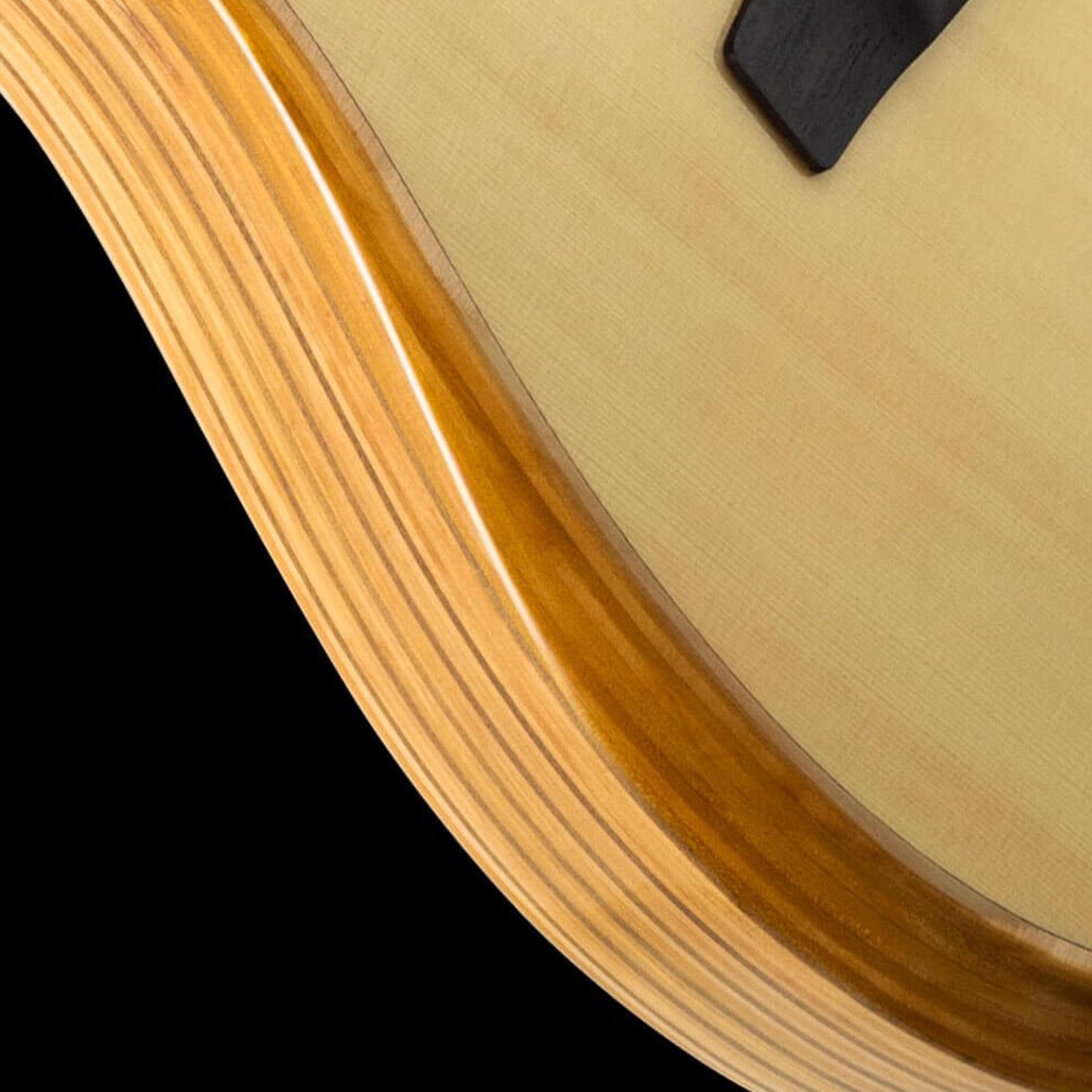 Đàn Guitar Acoustic LR Baggs AEG-1 - Việt Music
